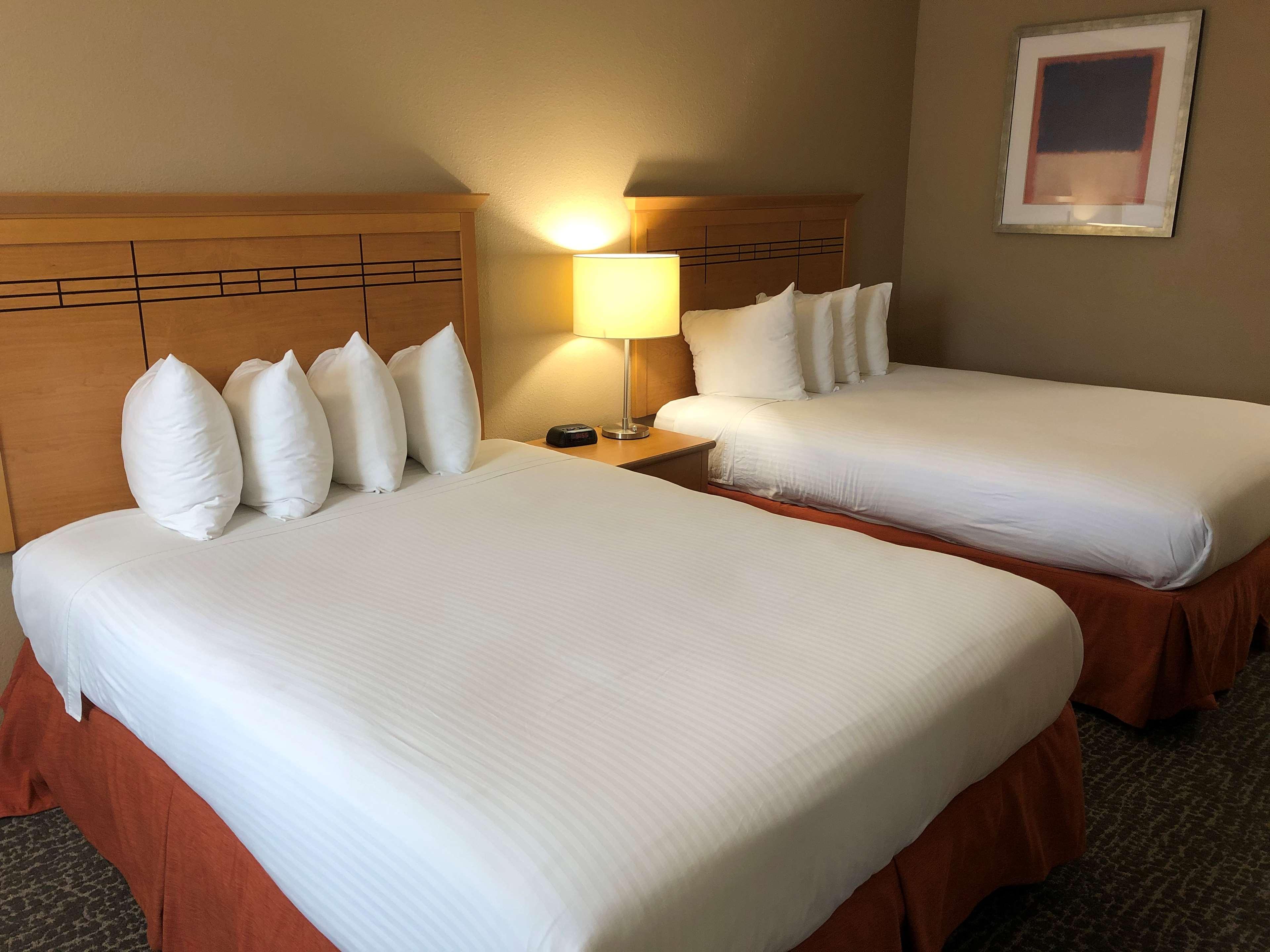 Suite Two Queen Beds