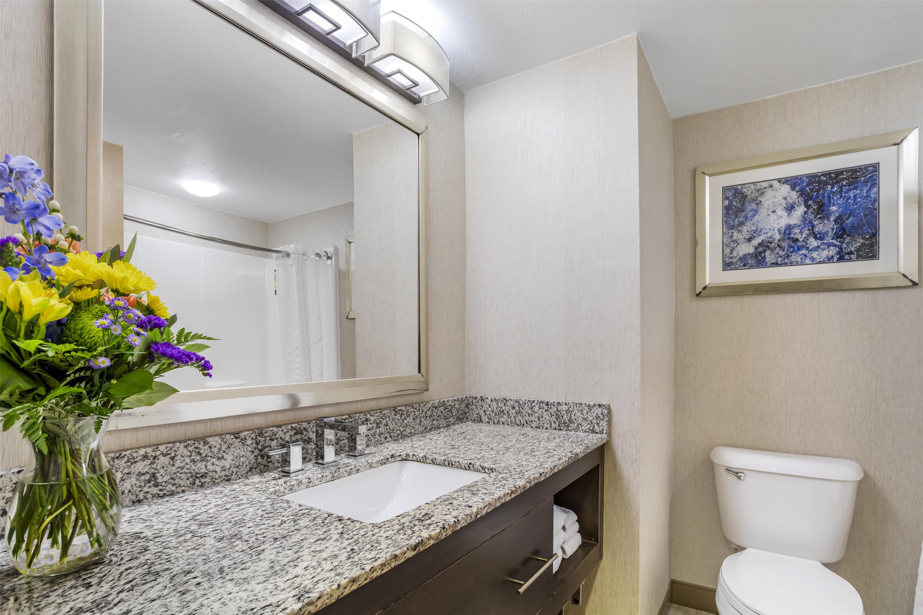 Suite King Bed Non Smoking