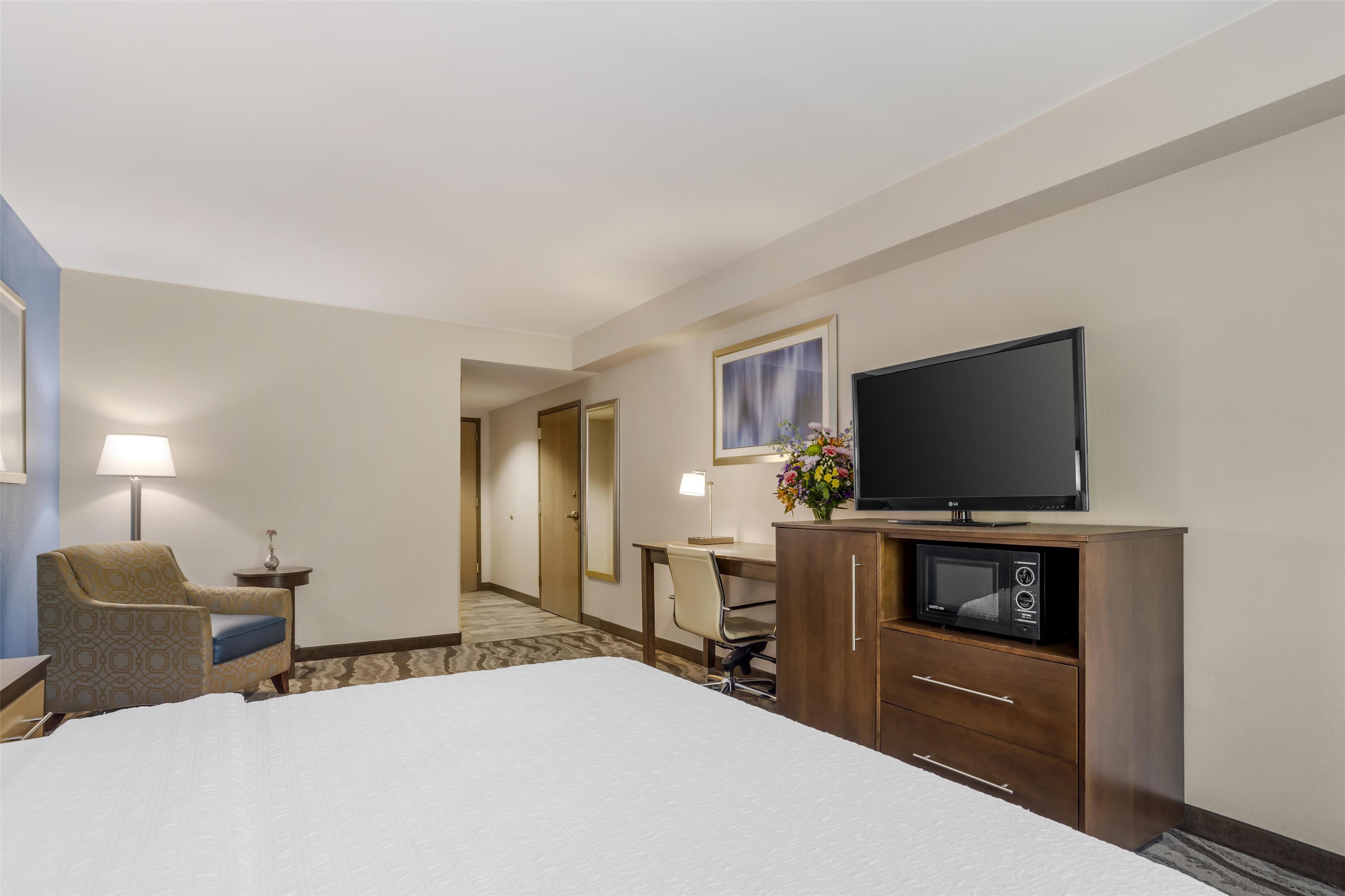 Room King Bed Non Smoking