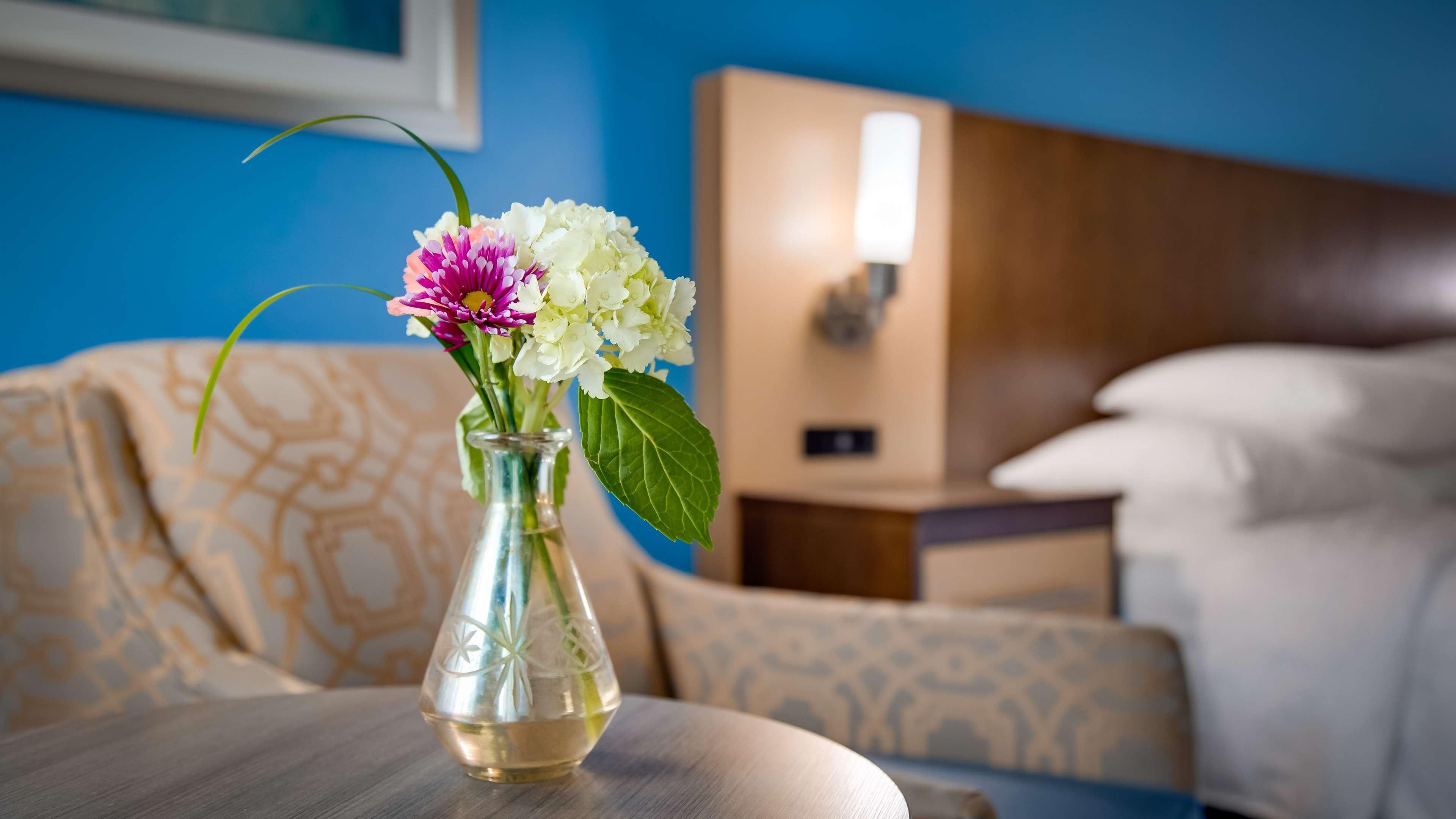 Room King Bed Non Smoking