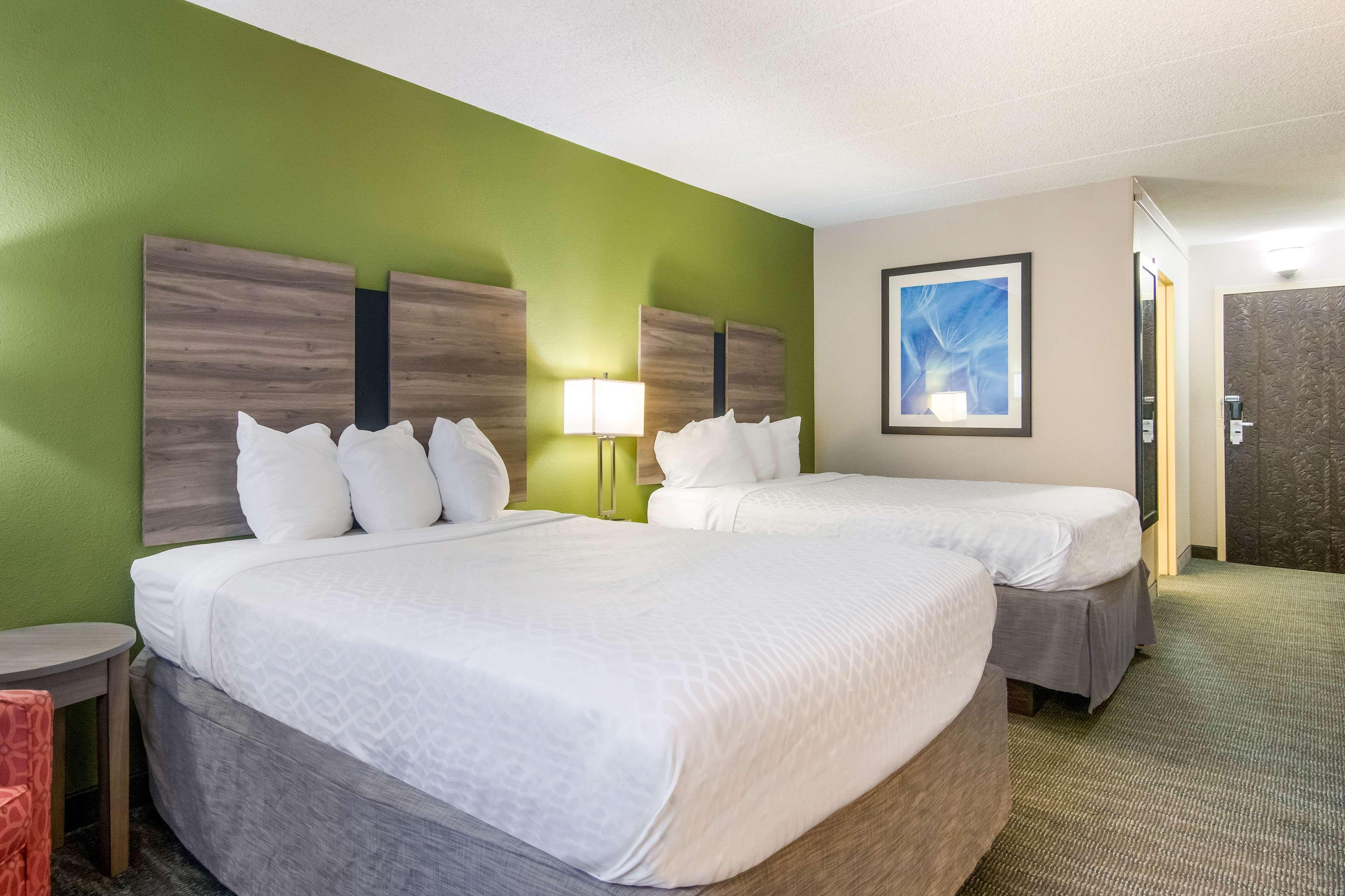 Room Two Double Beds