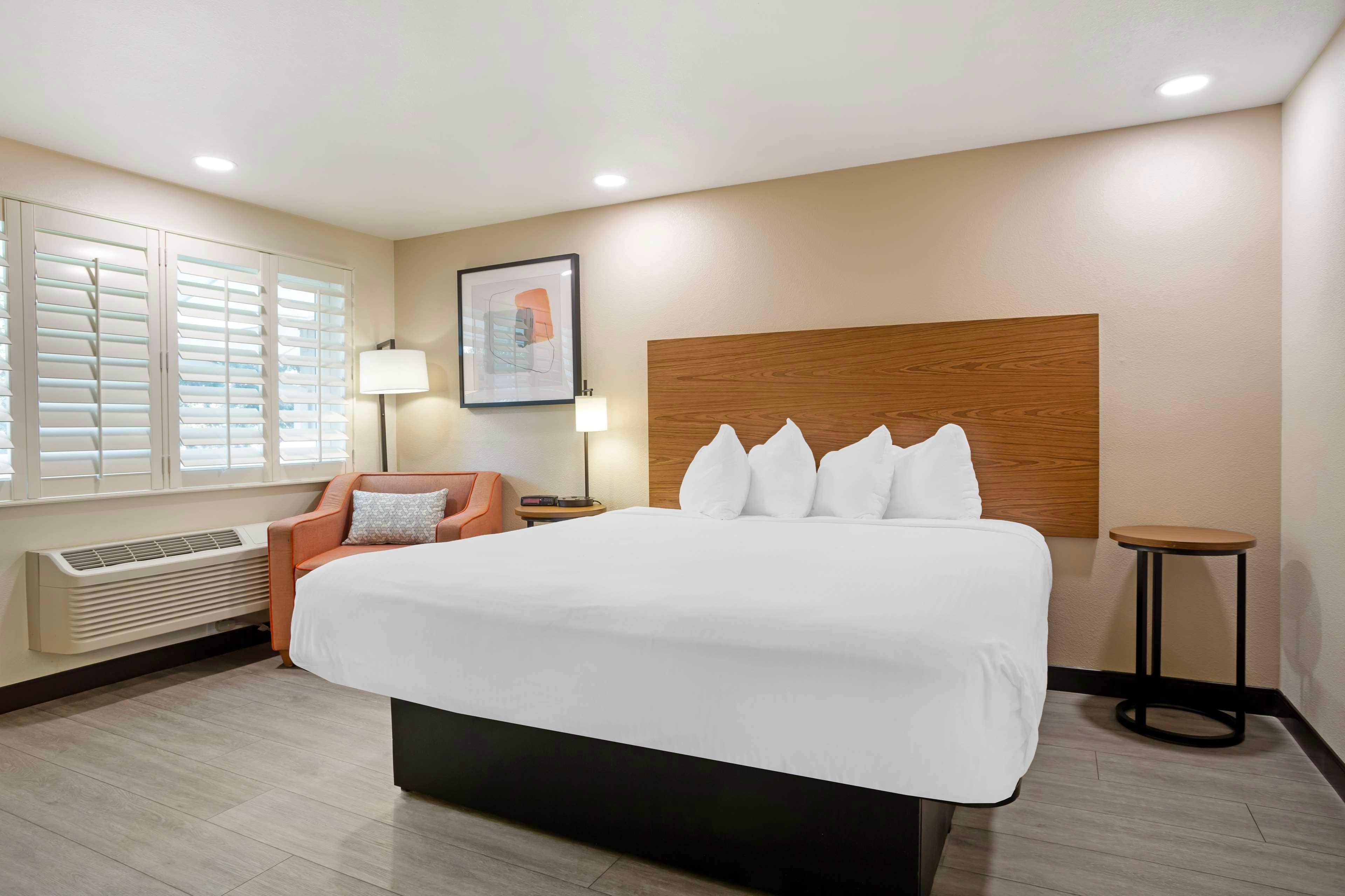 Double King Bed Non Smoking