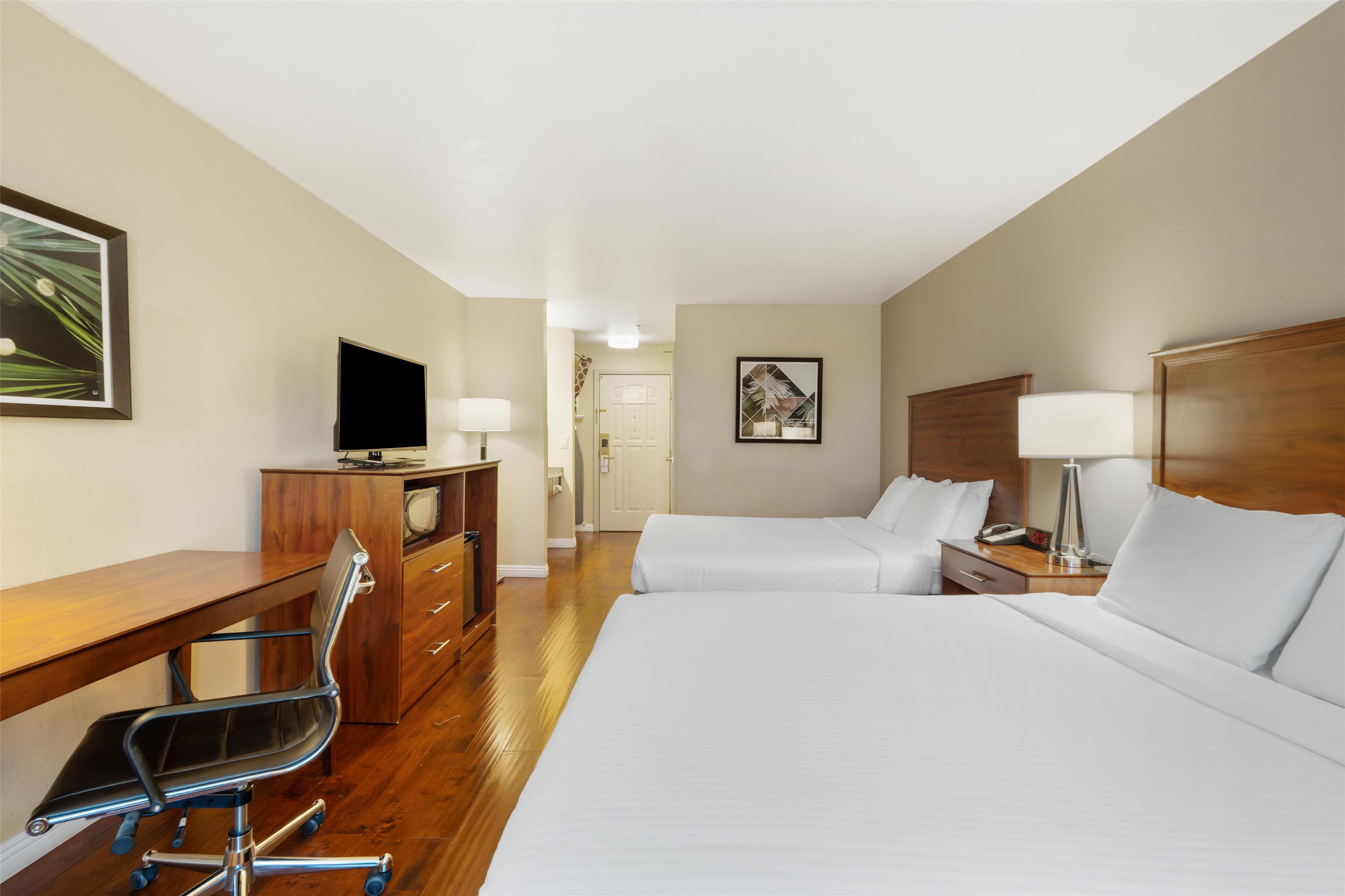 Quadruple Two Queen Beds Non Smoking