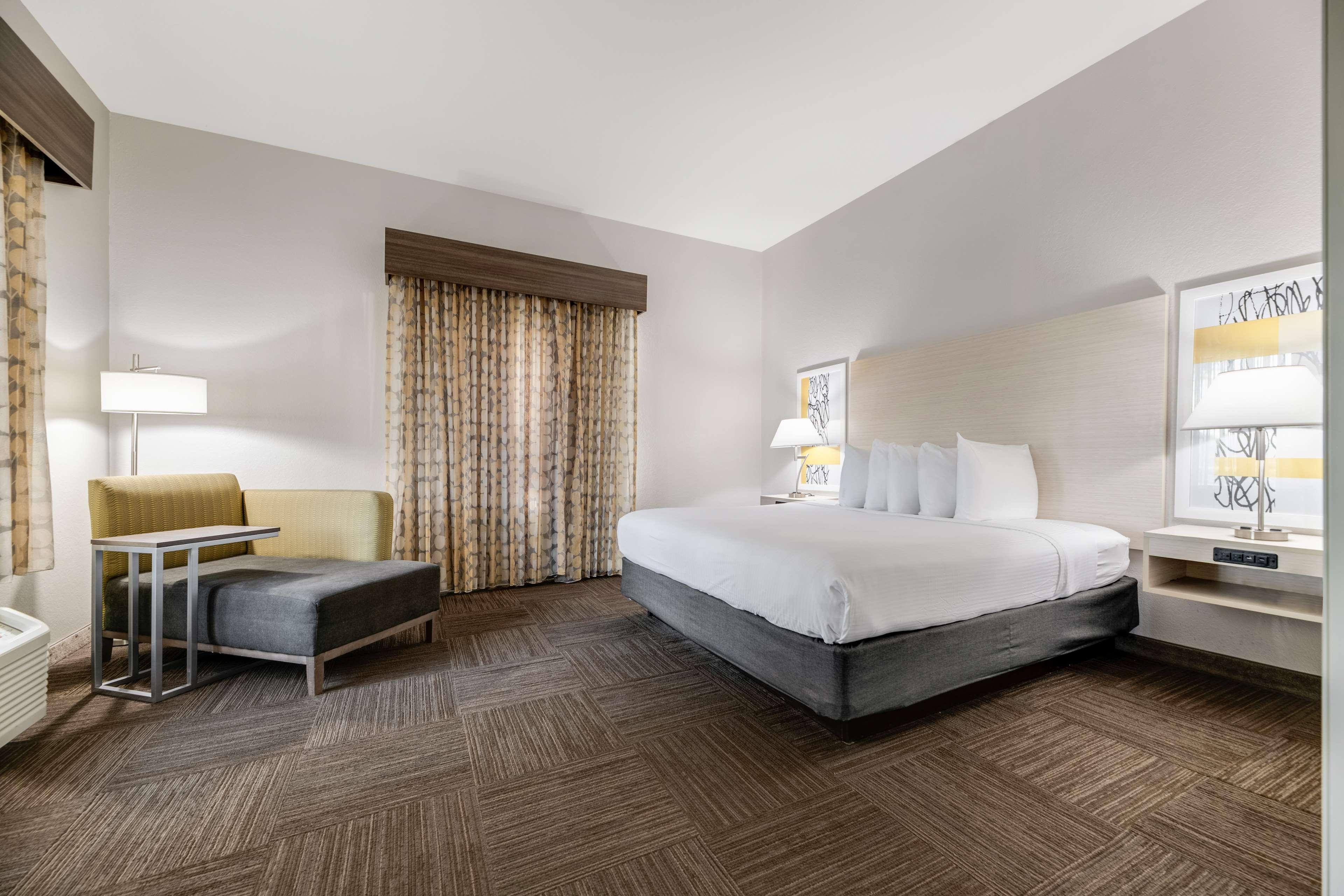 Suite King Bed Non Smoking