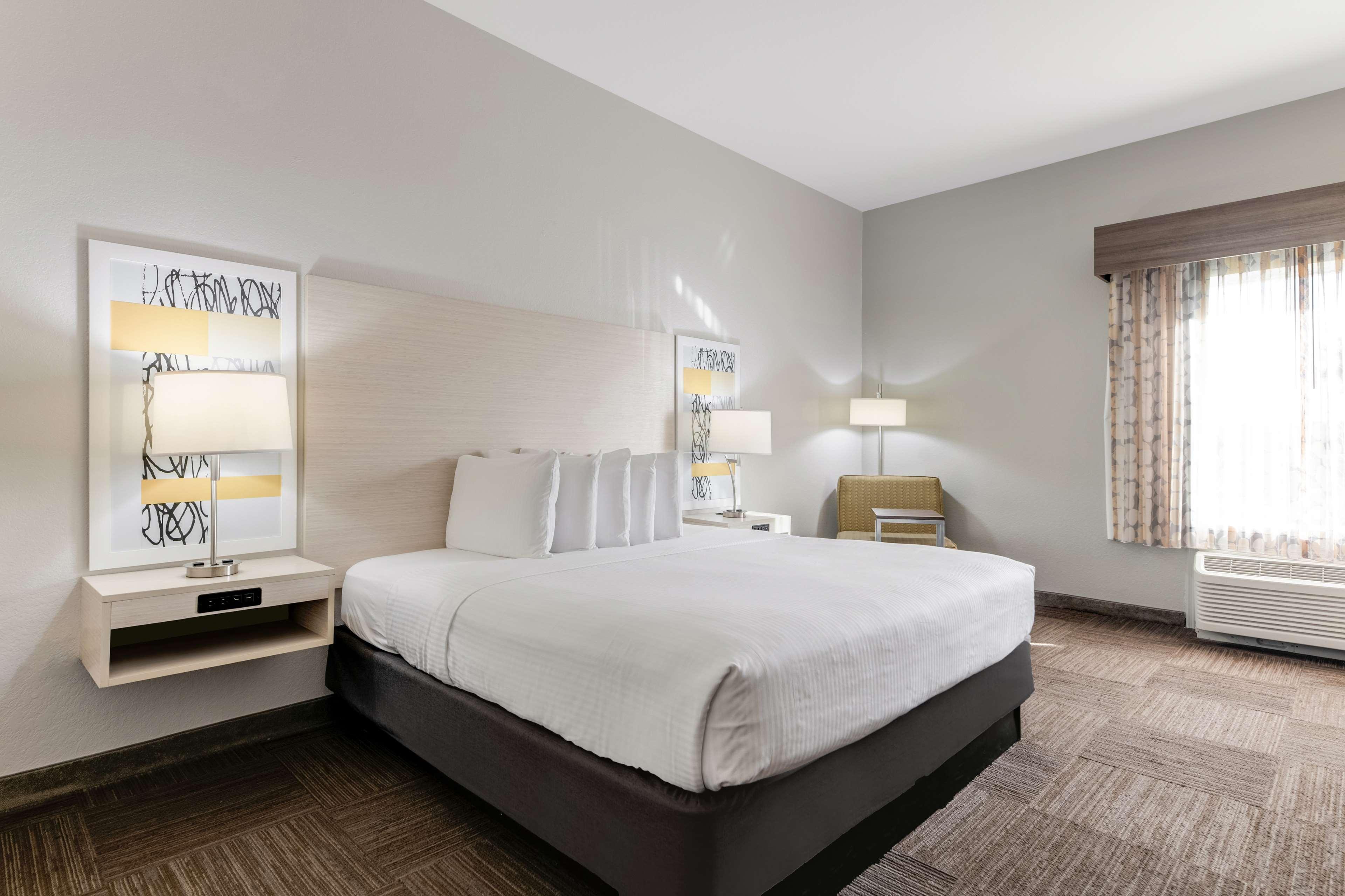 Room King Bed Non Smoking