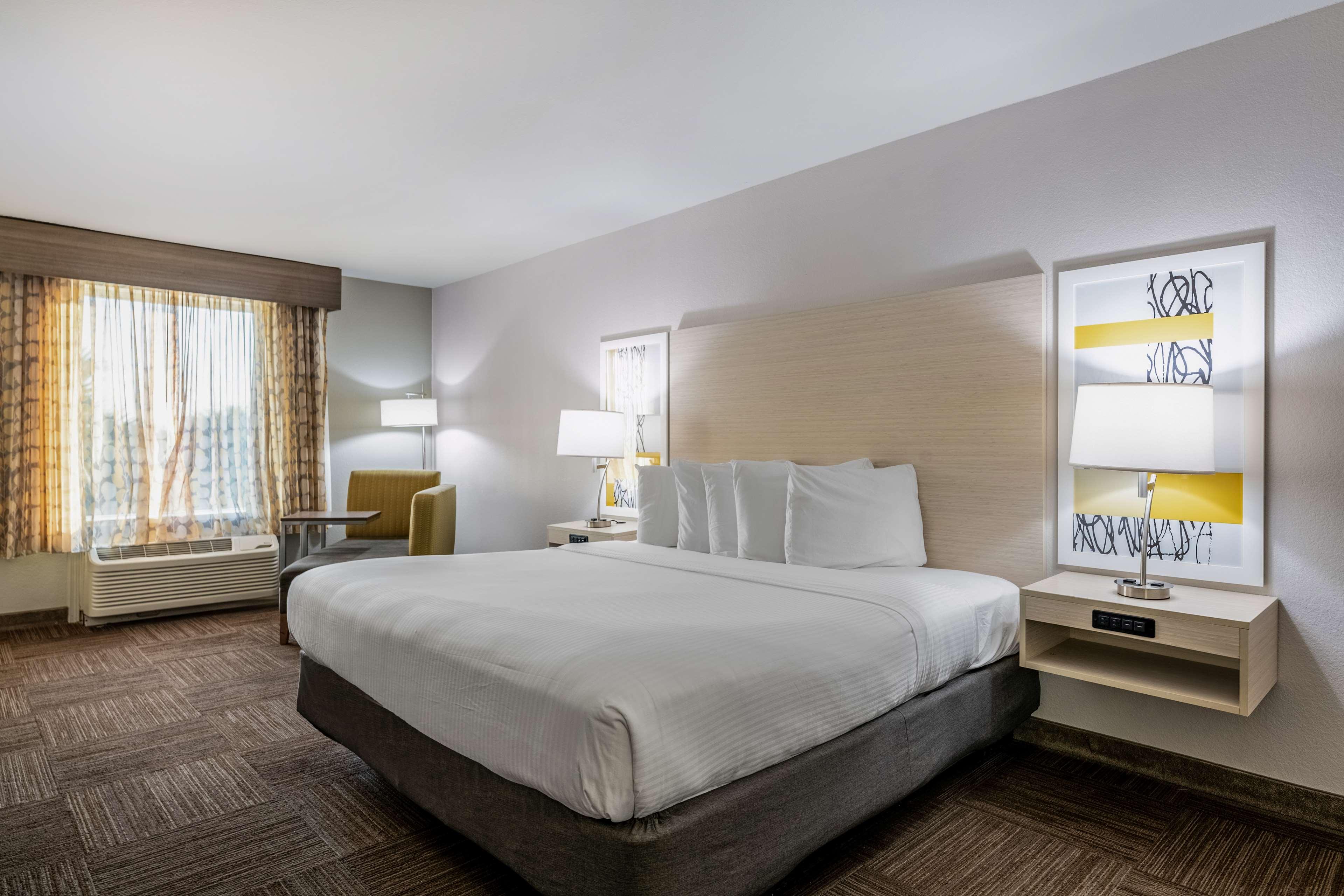 Room King Bed Non Smoking