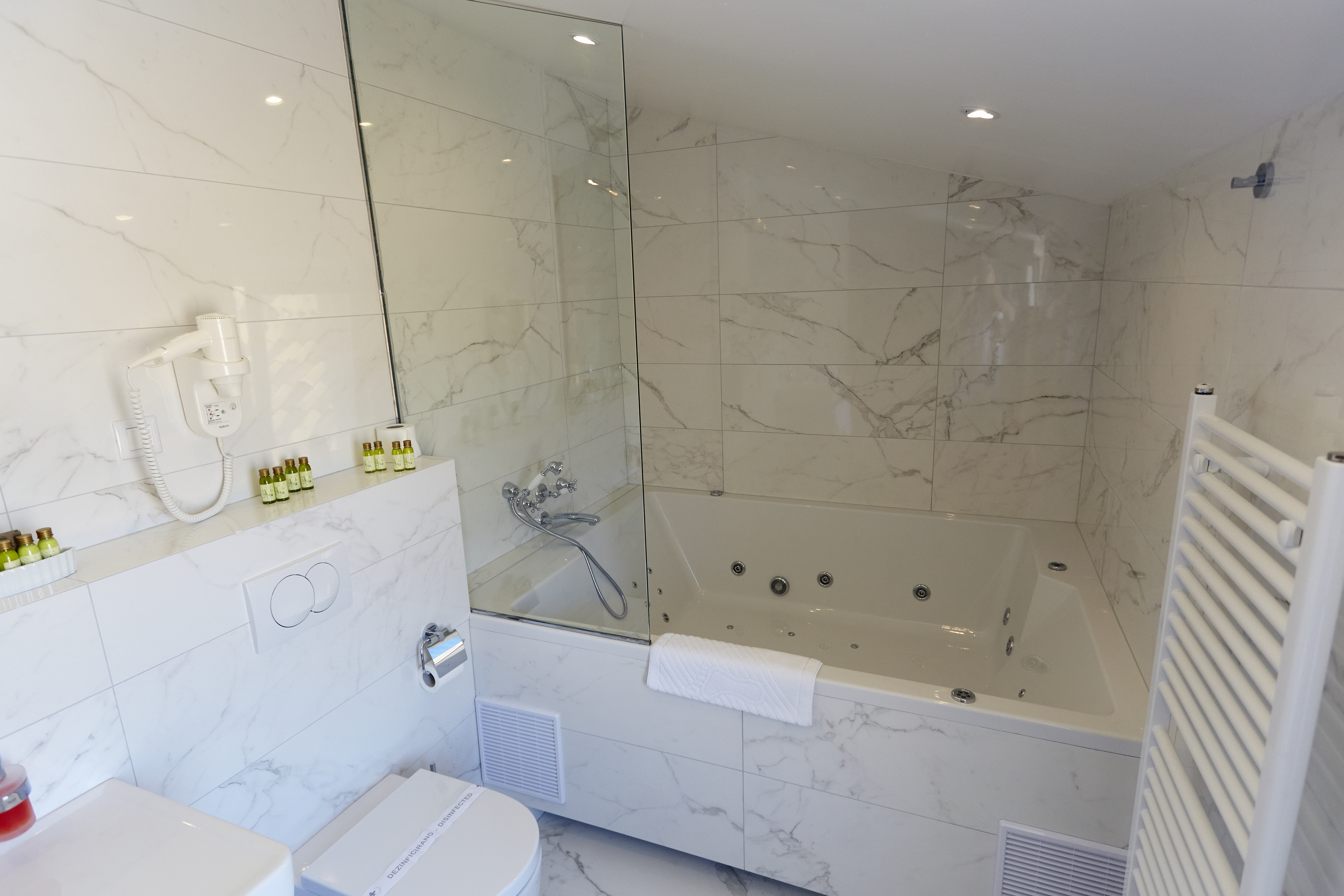 Suite Deluxe Sea View with Balcony