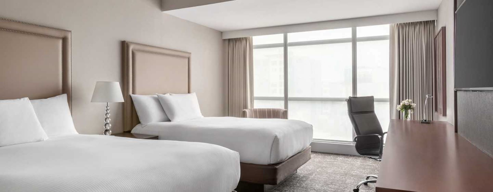 Junior Suite Capacity 3