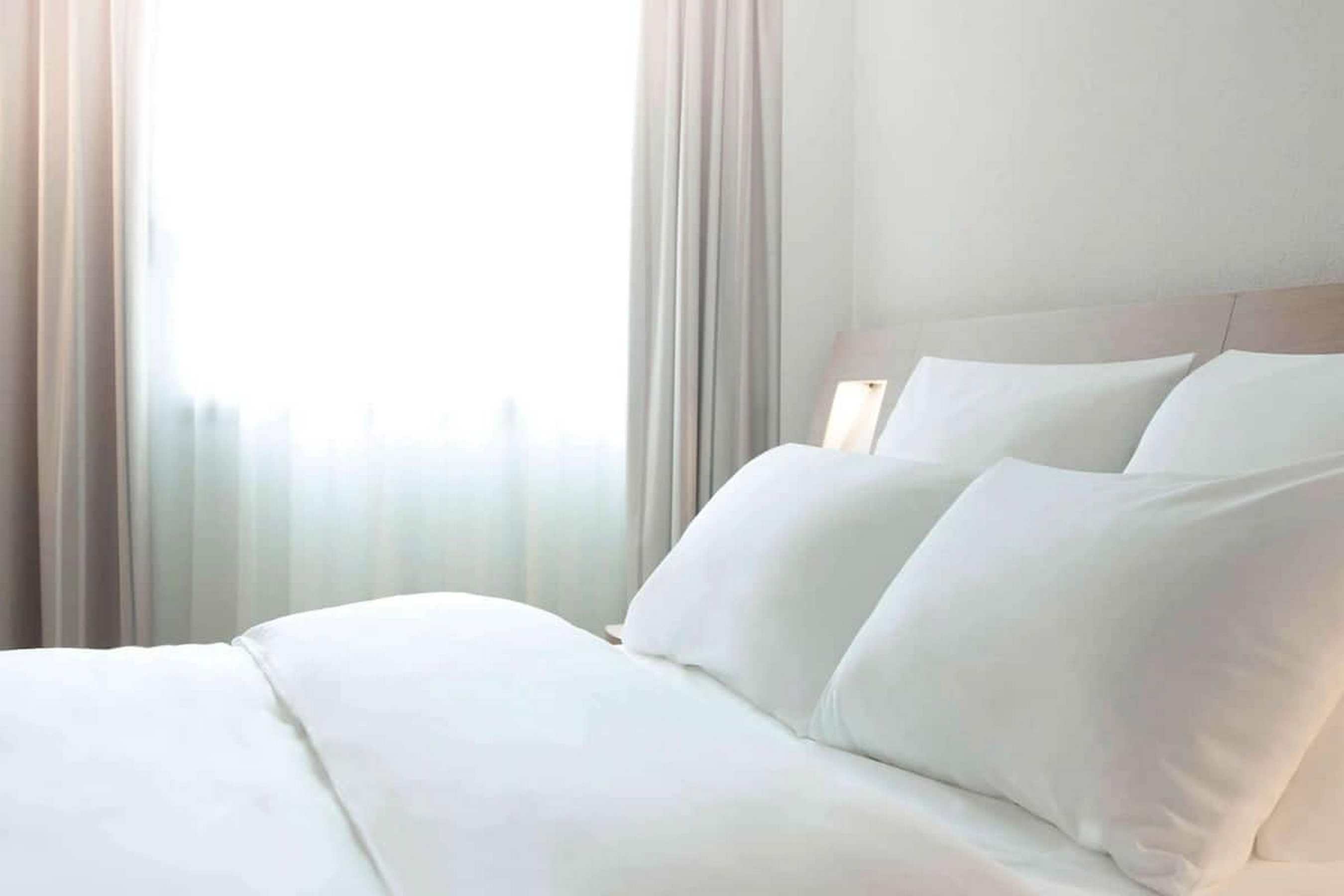 Family Room Superior with Double Bed