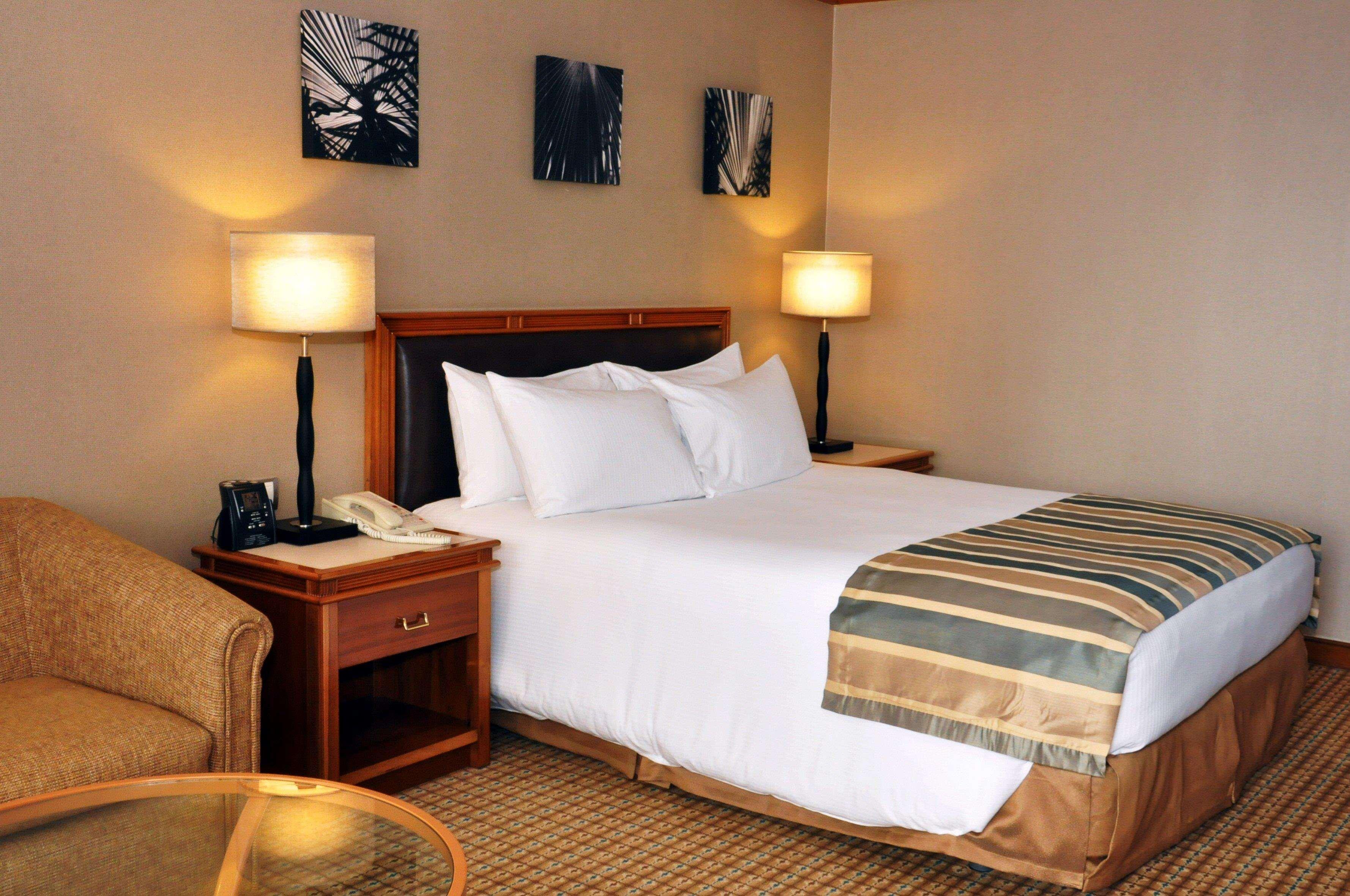 Room Guest Room King Bed