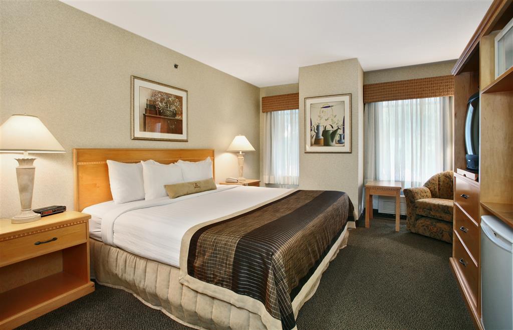 Double Queen Size Bed