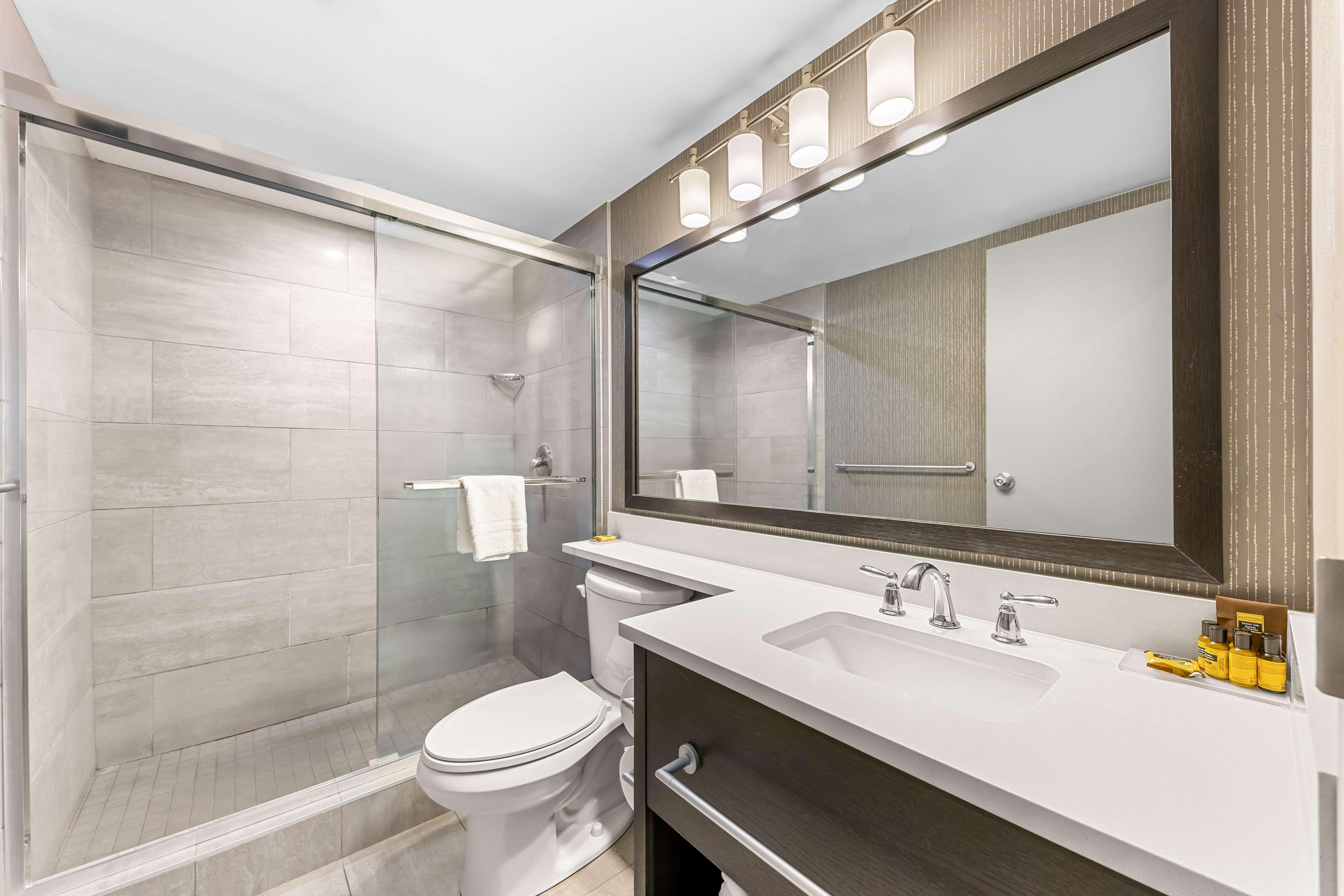 Suite King Bed Non Smoking