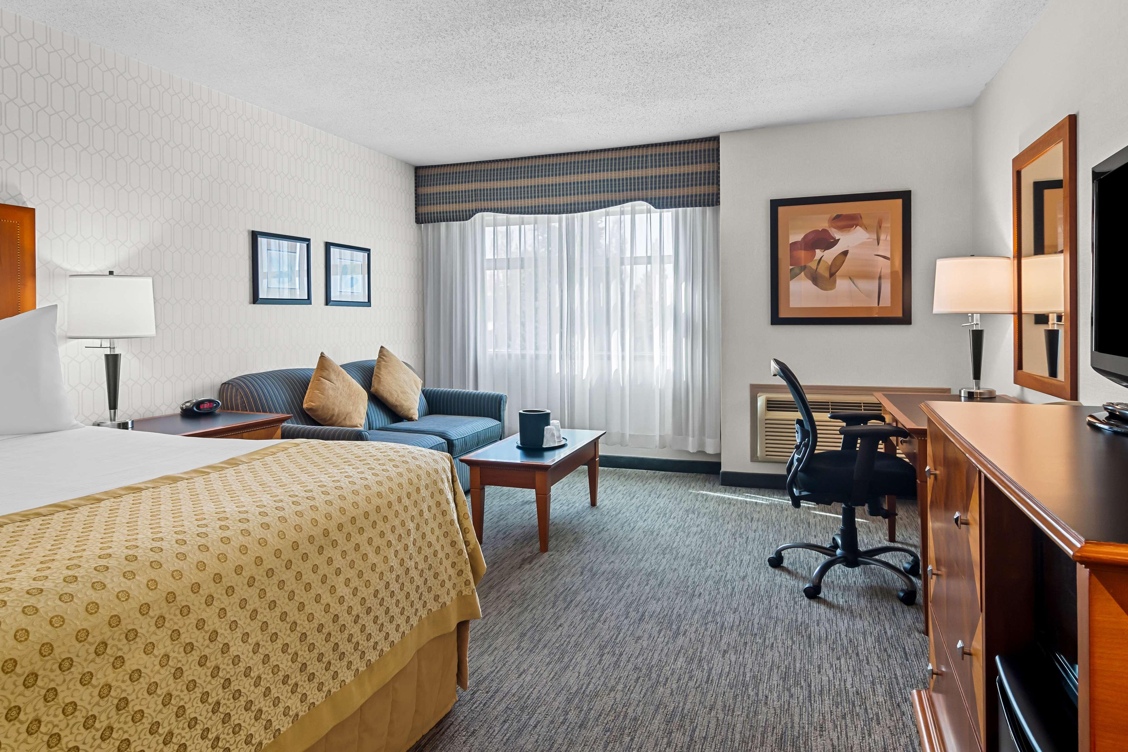 Quadruple Business King Bed