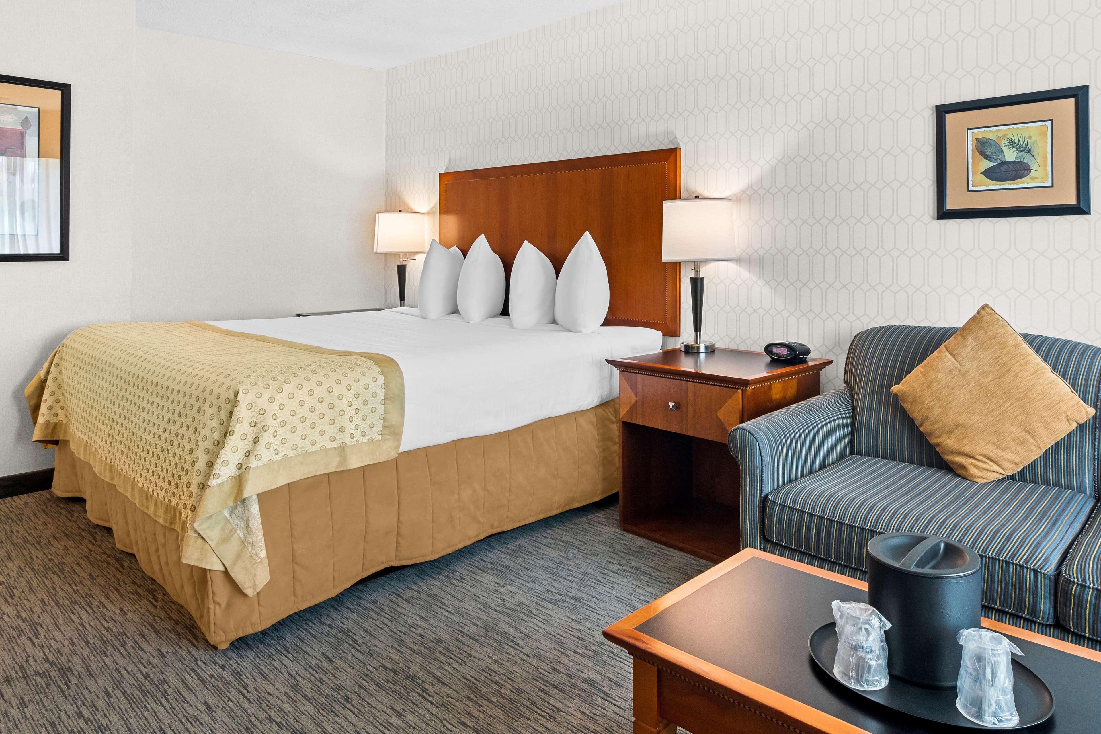 Quadruple Business King Bed