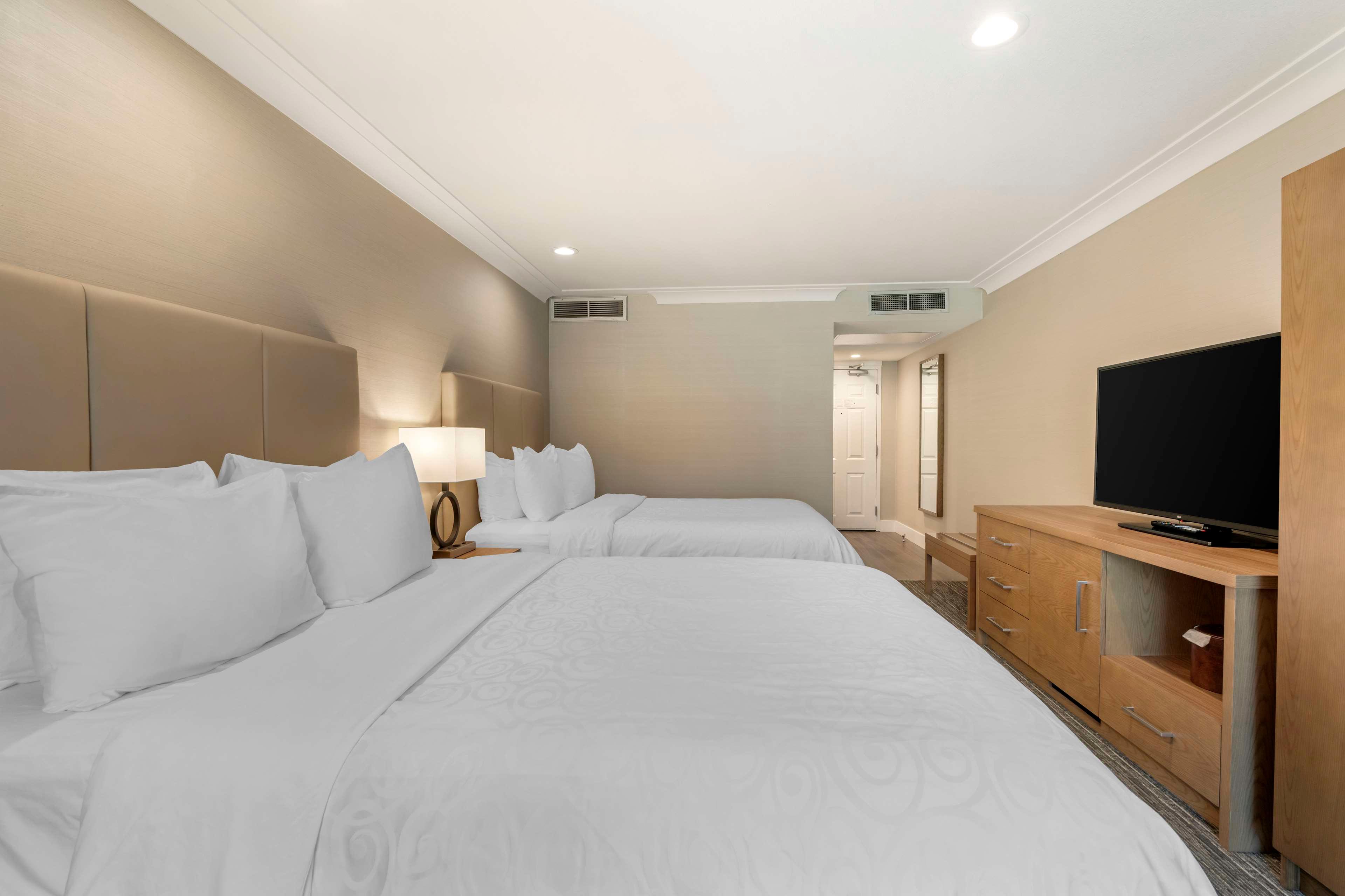 Quadruple Two Queen Beds