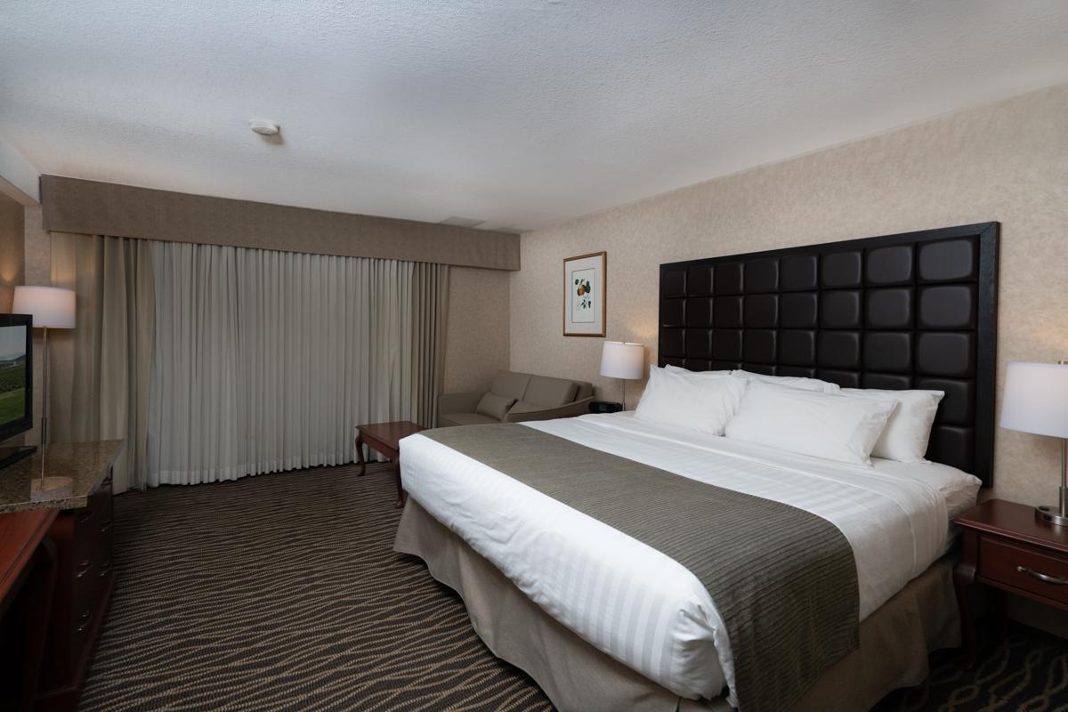 Double Guest Room King Bed