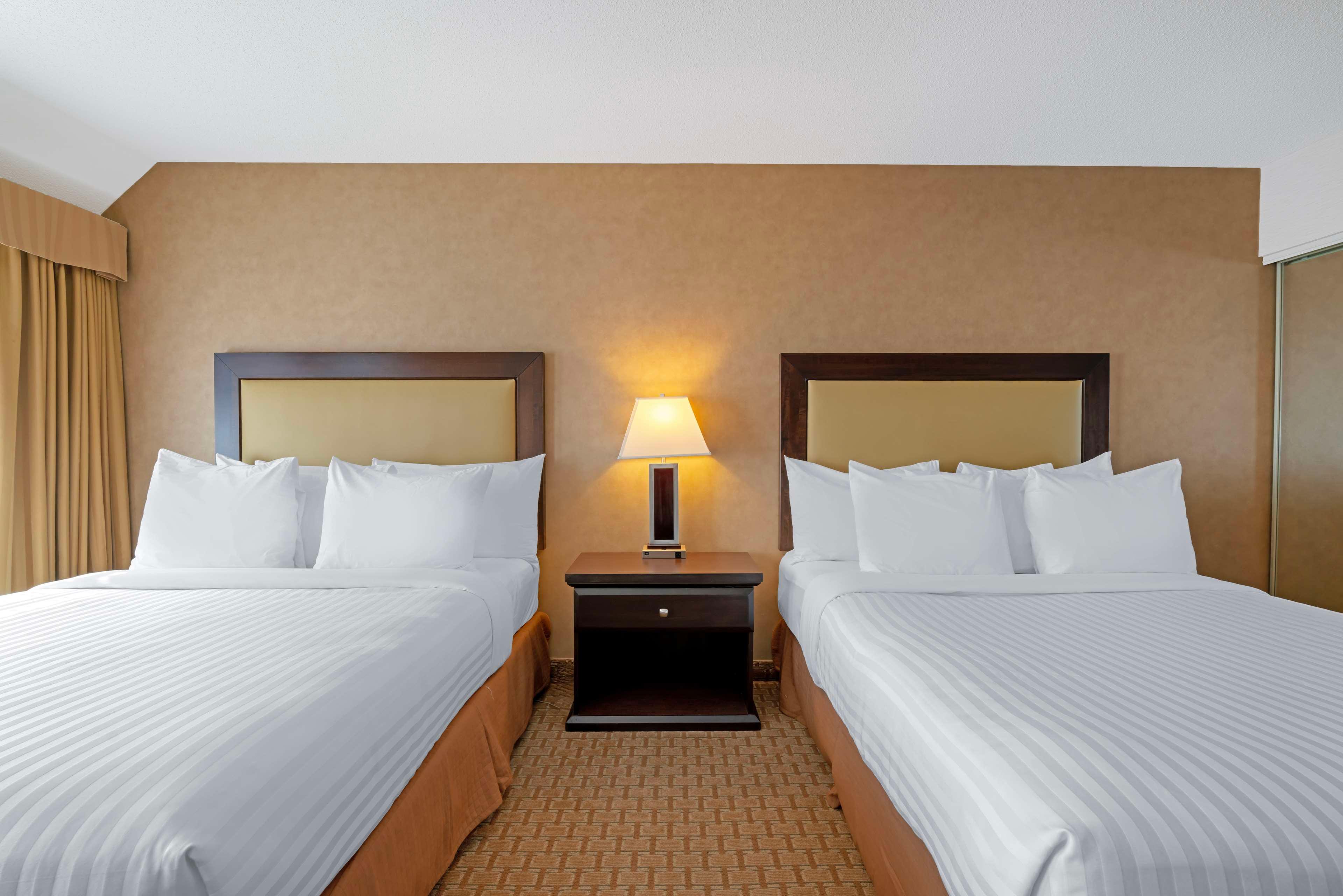 Suite Two Queen Beds