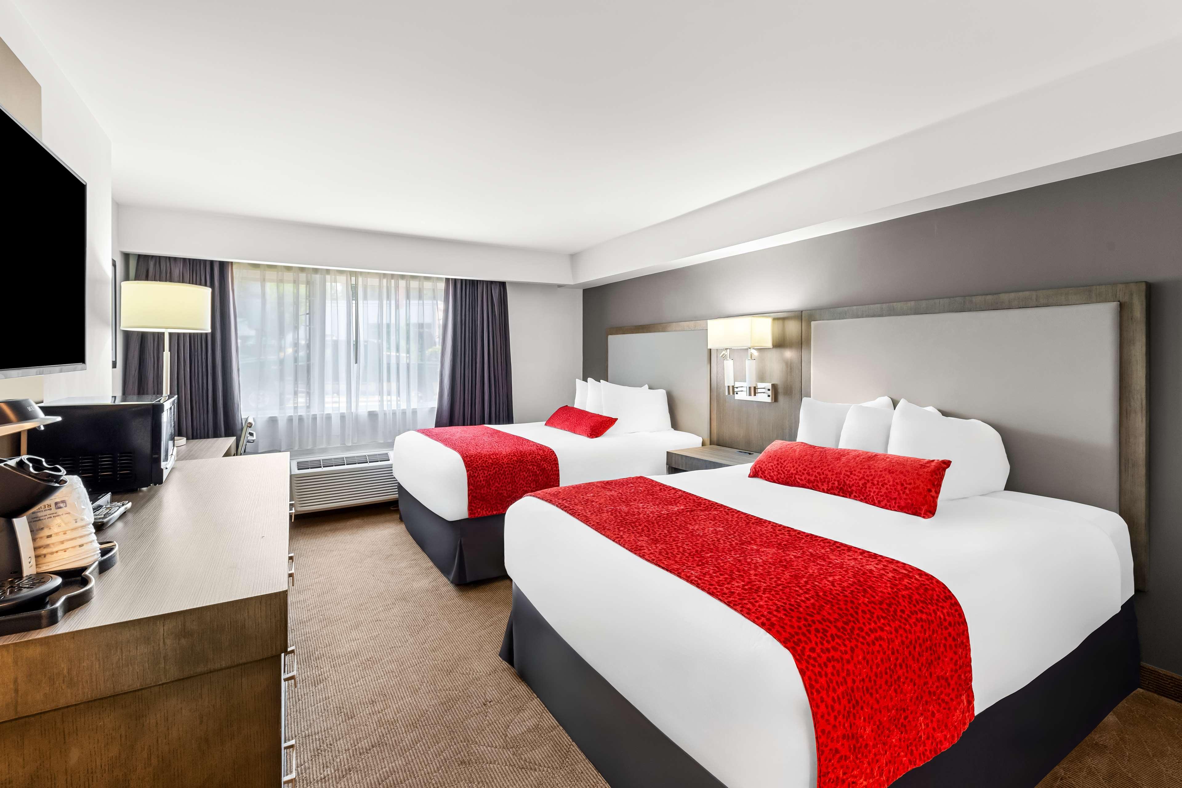 Quadruple Two Queen Beds Non Smoking