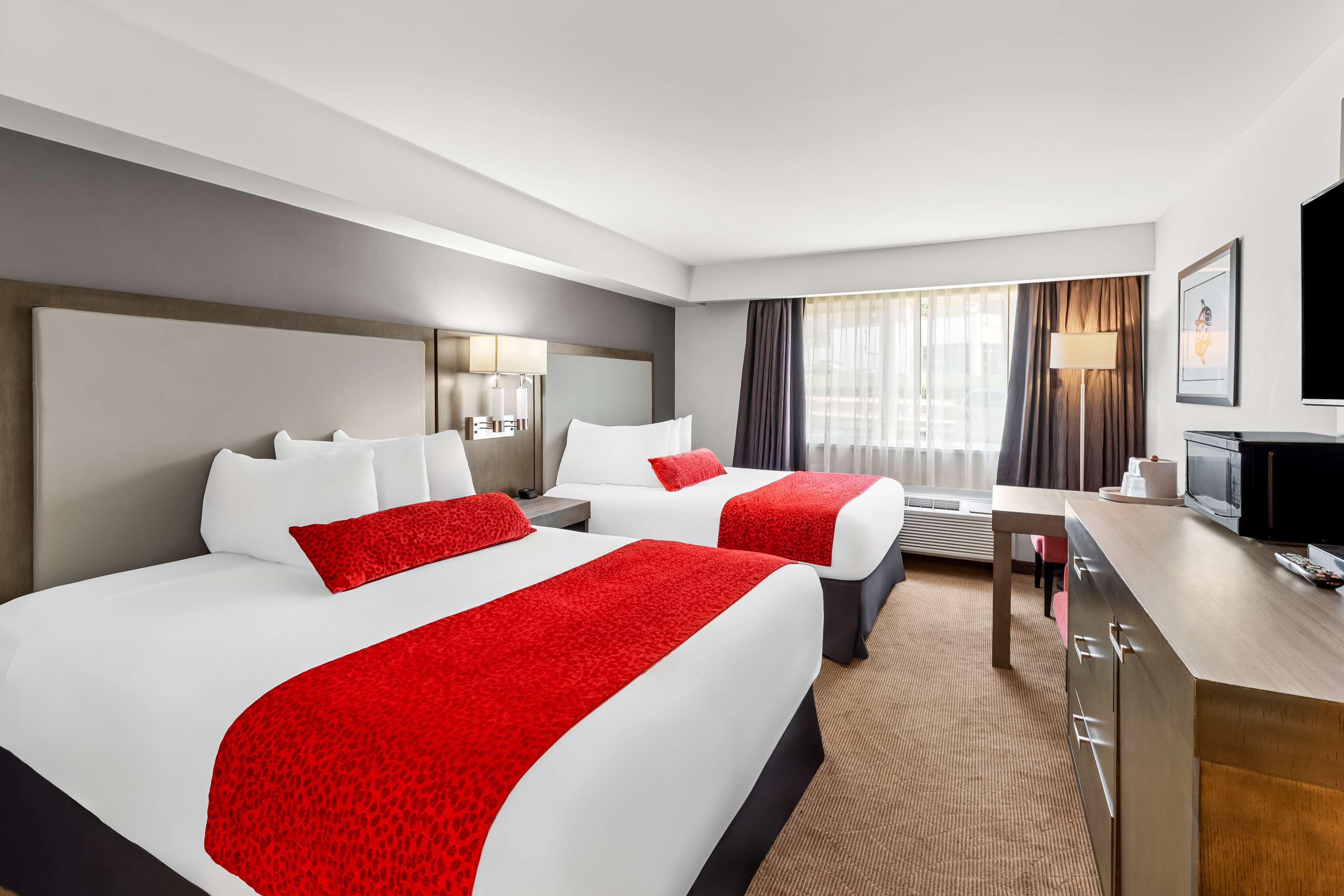 Quadruple Two Queen Beds Non Smoking