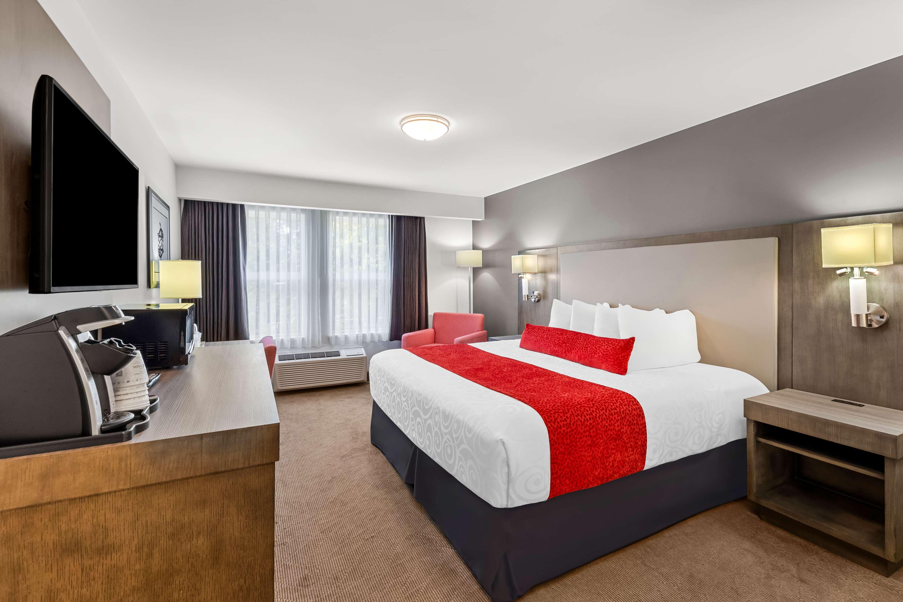 Double Queen Size Bed