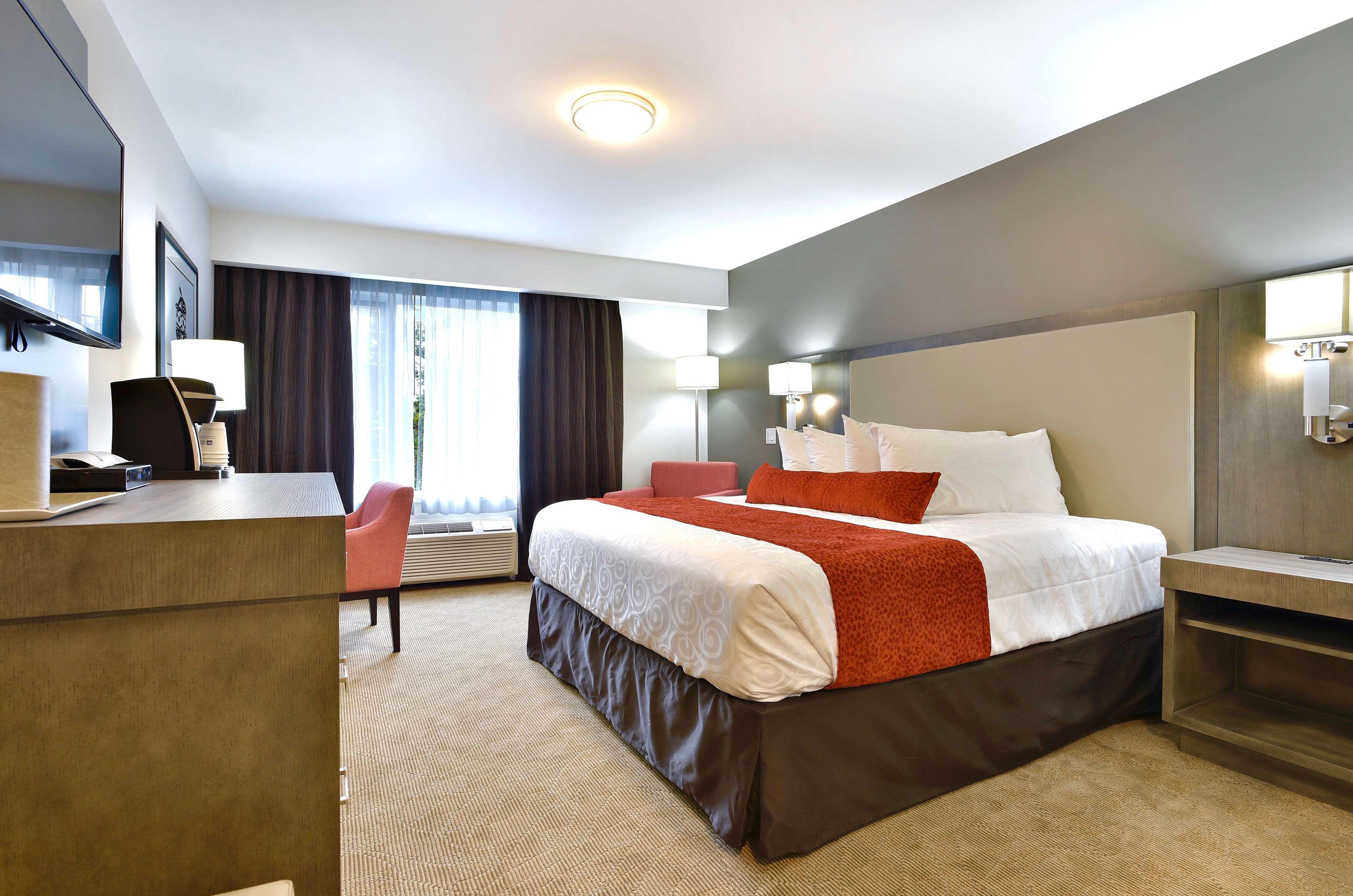 Double King Bed Non Smoking