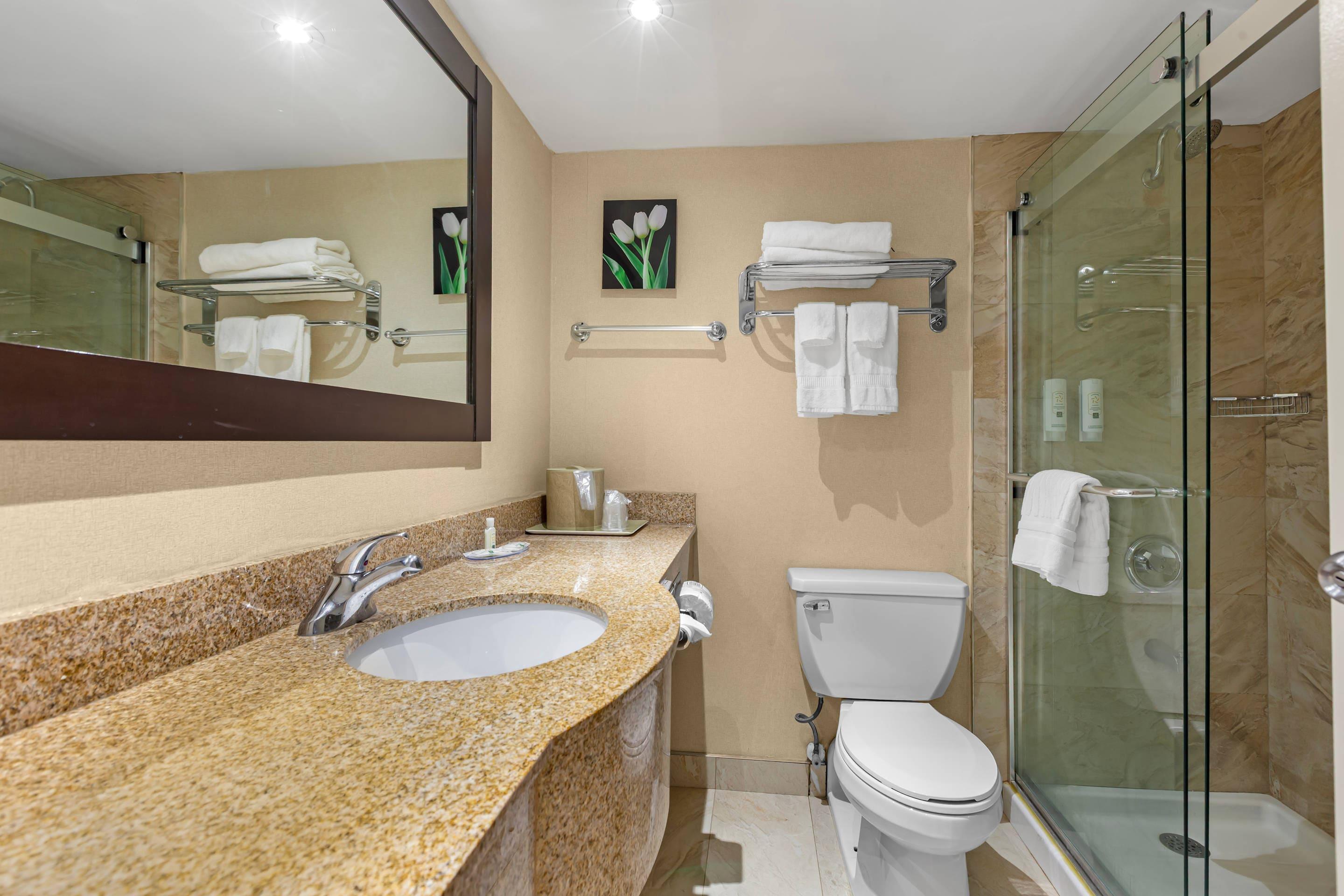 Suite King Bed Non Smoking