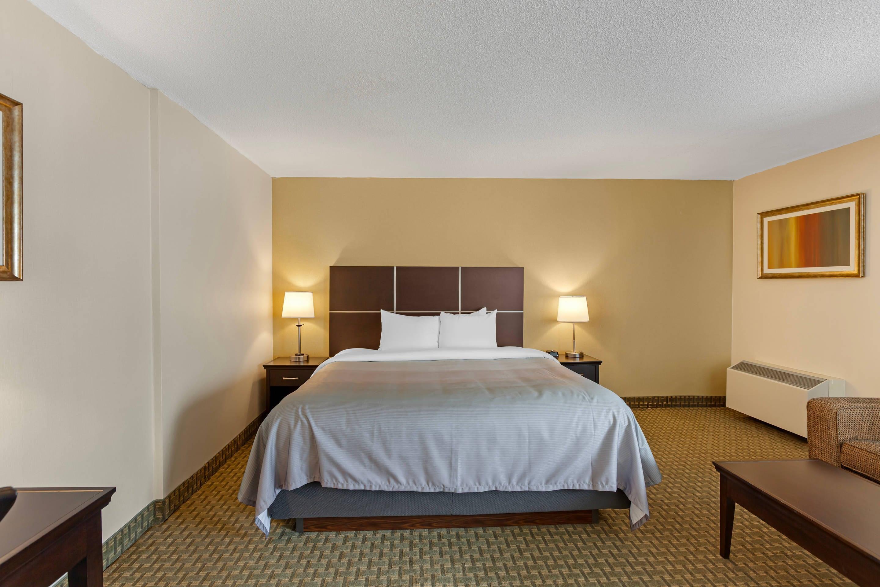 Suite King Bed Non Smoking