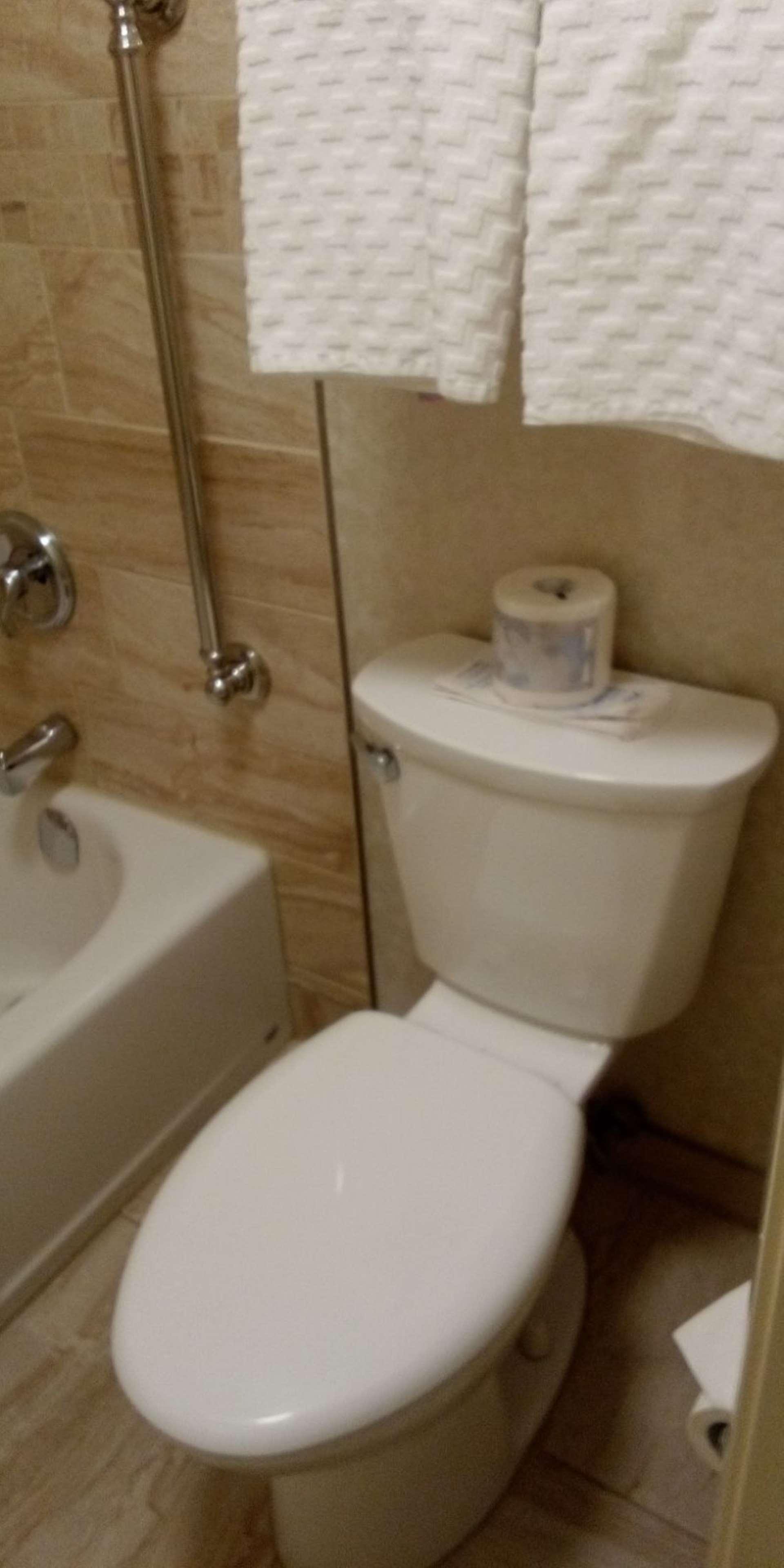 Double Queen Size Bed