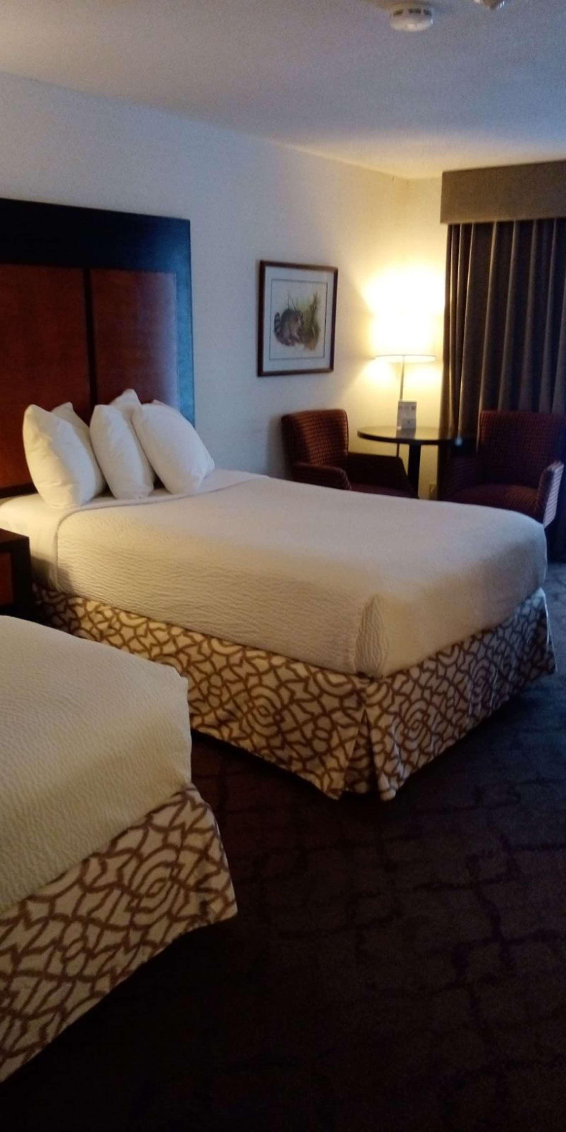 Quadruple Two Double Beds