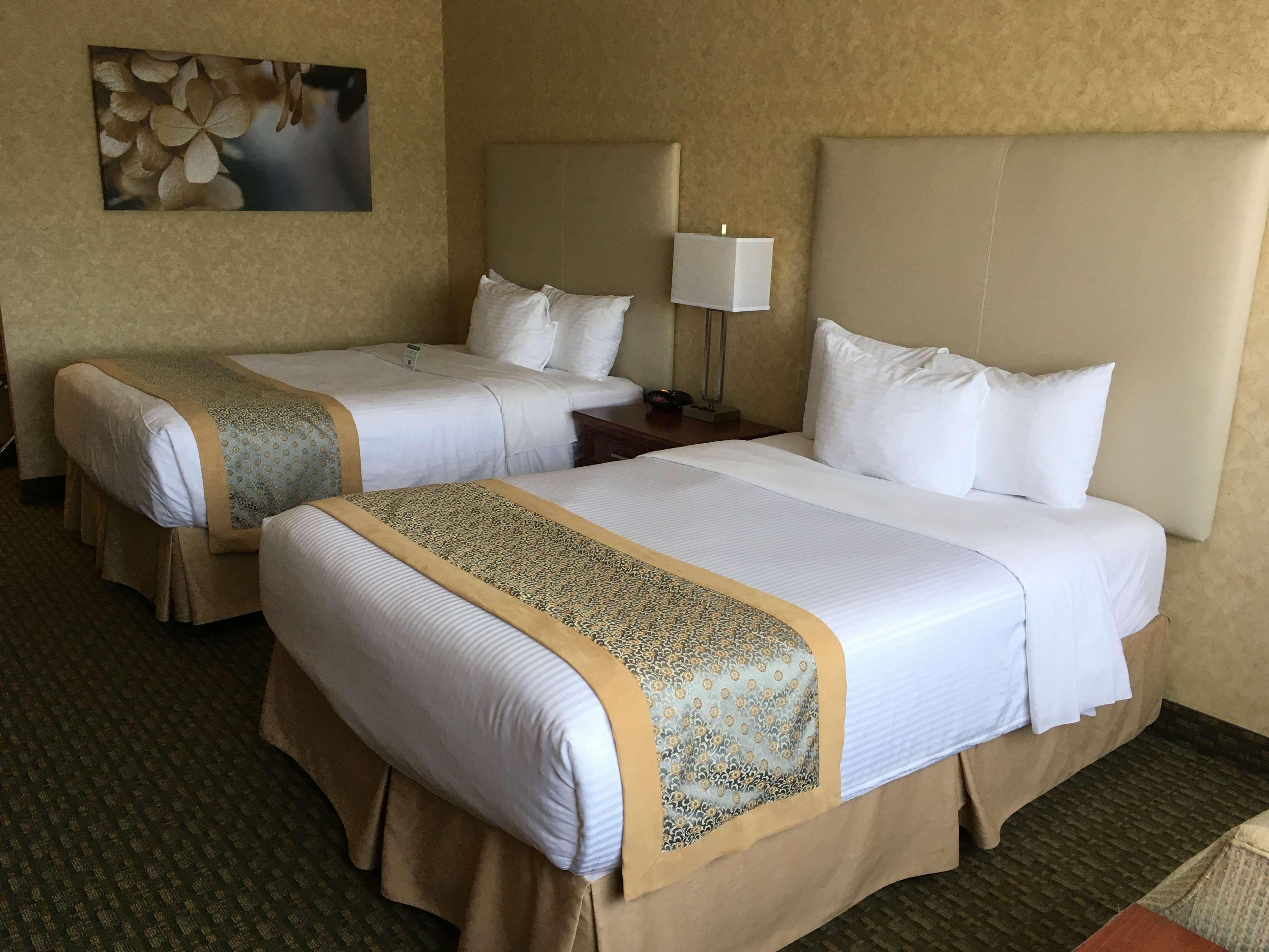 Quadruple Non Smoking