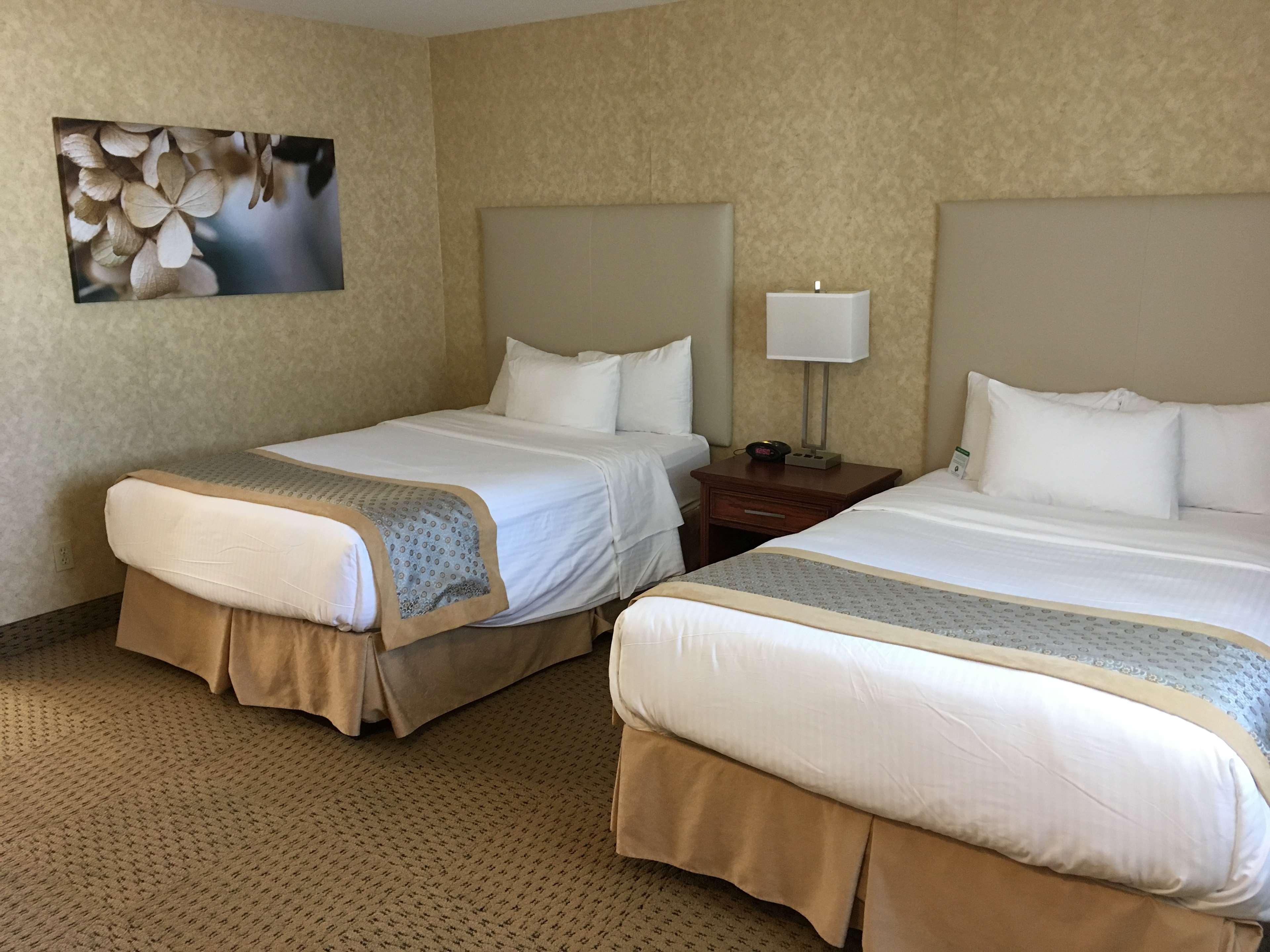 Quadruple Non Smoking