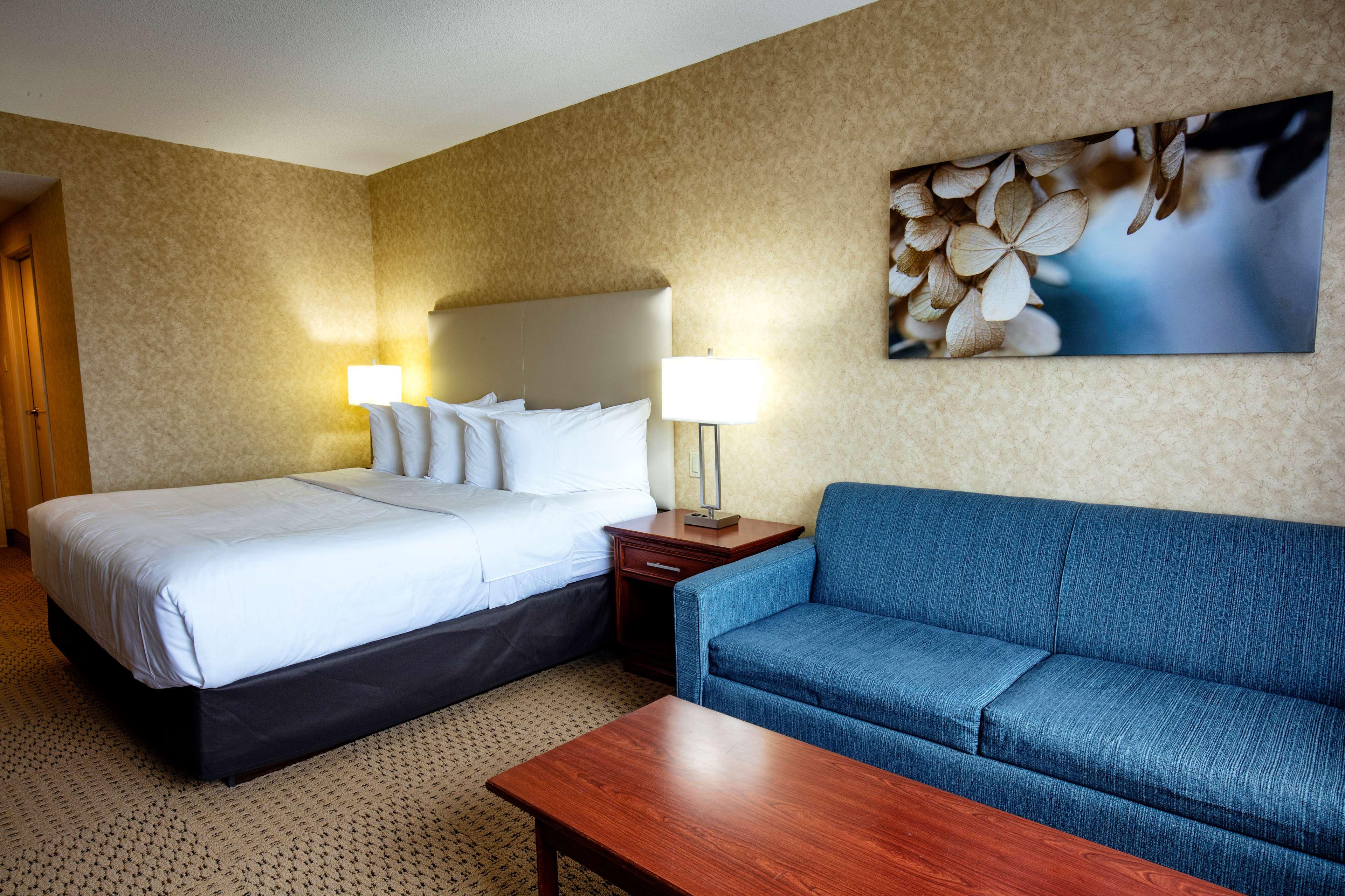 Quadruple King Size Bed