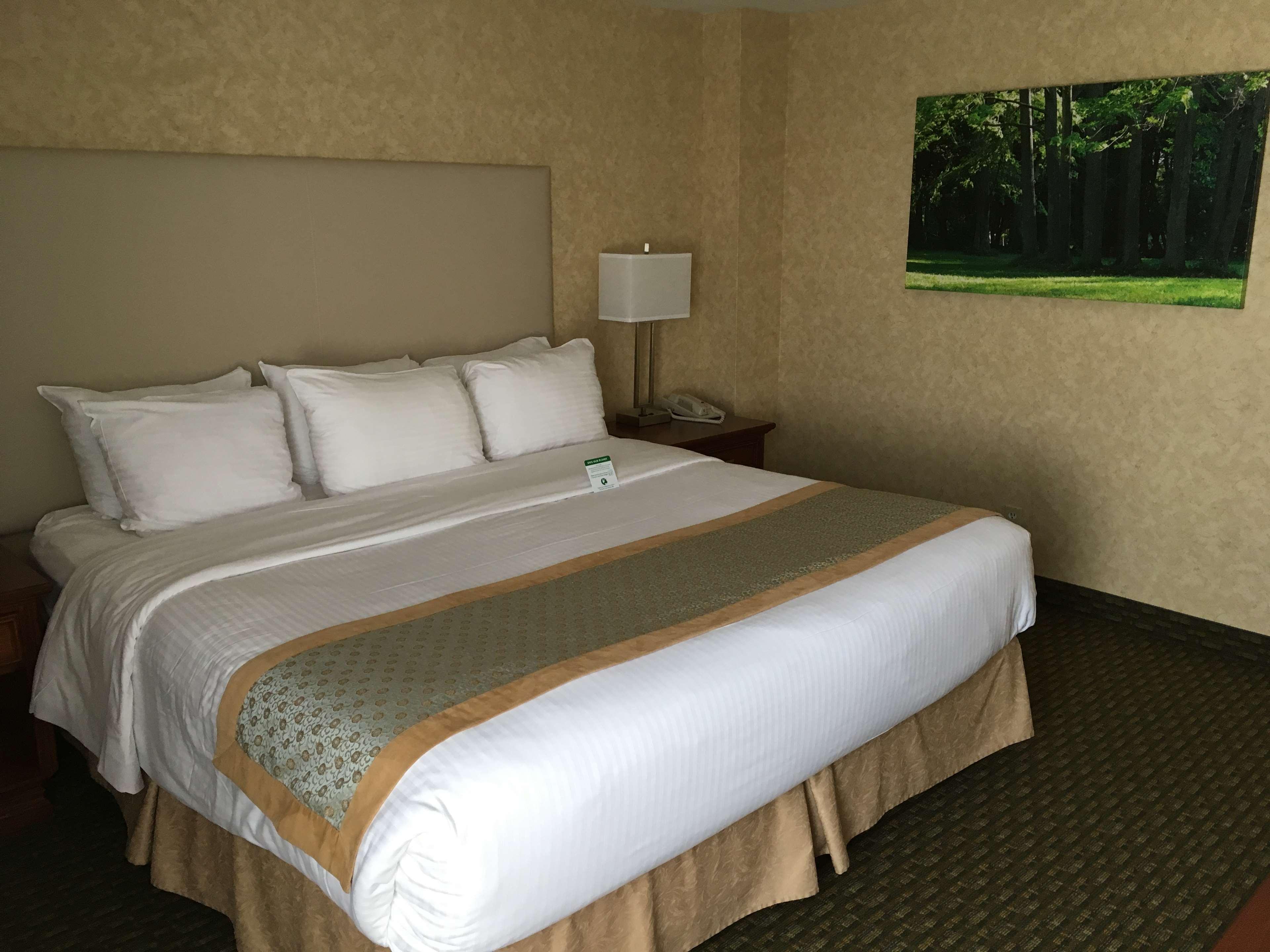 Quadruple King Size Bed