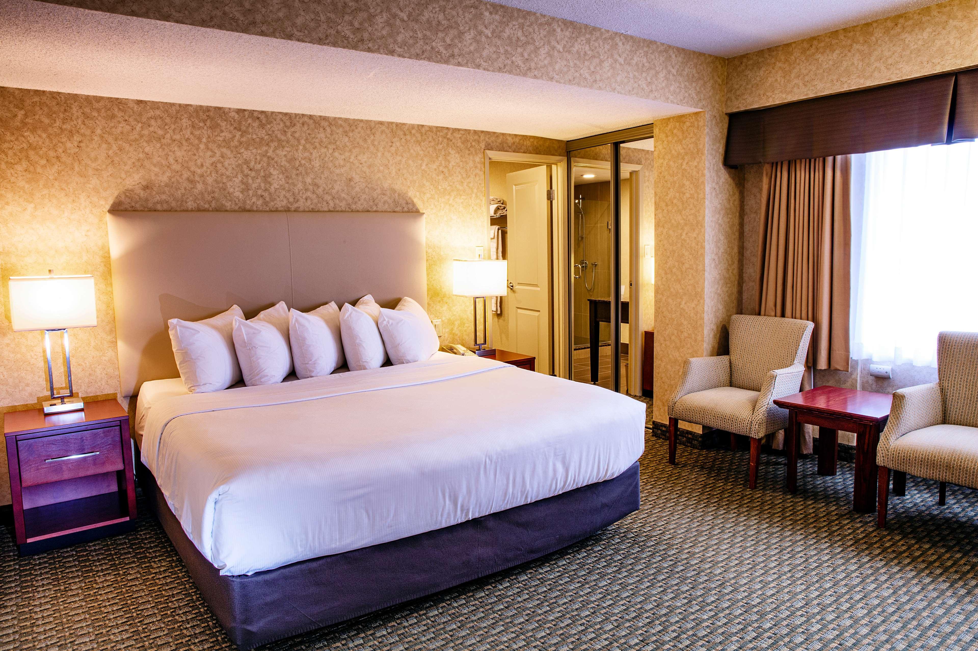 Suite King Bed Non Smoking