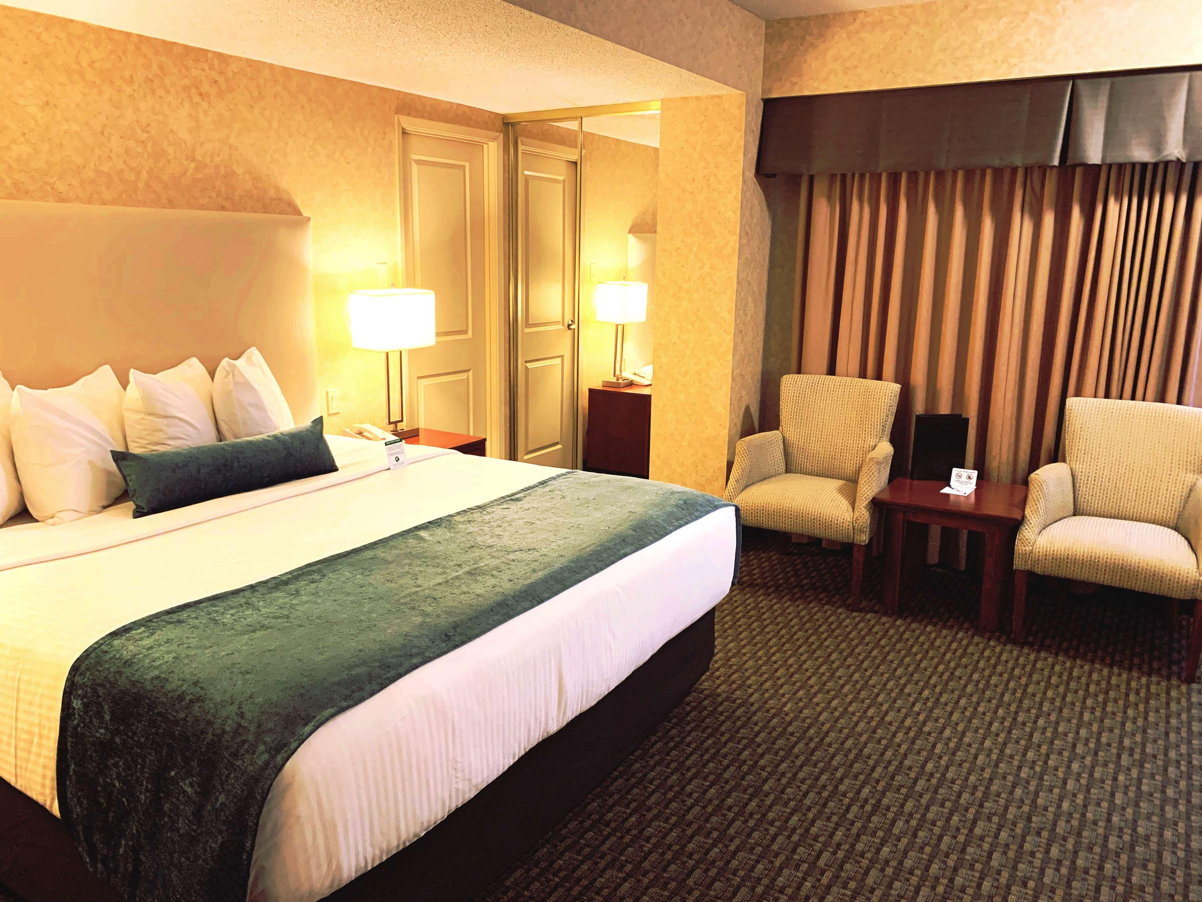 Suite King Bed Non Smoking