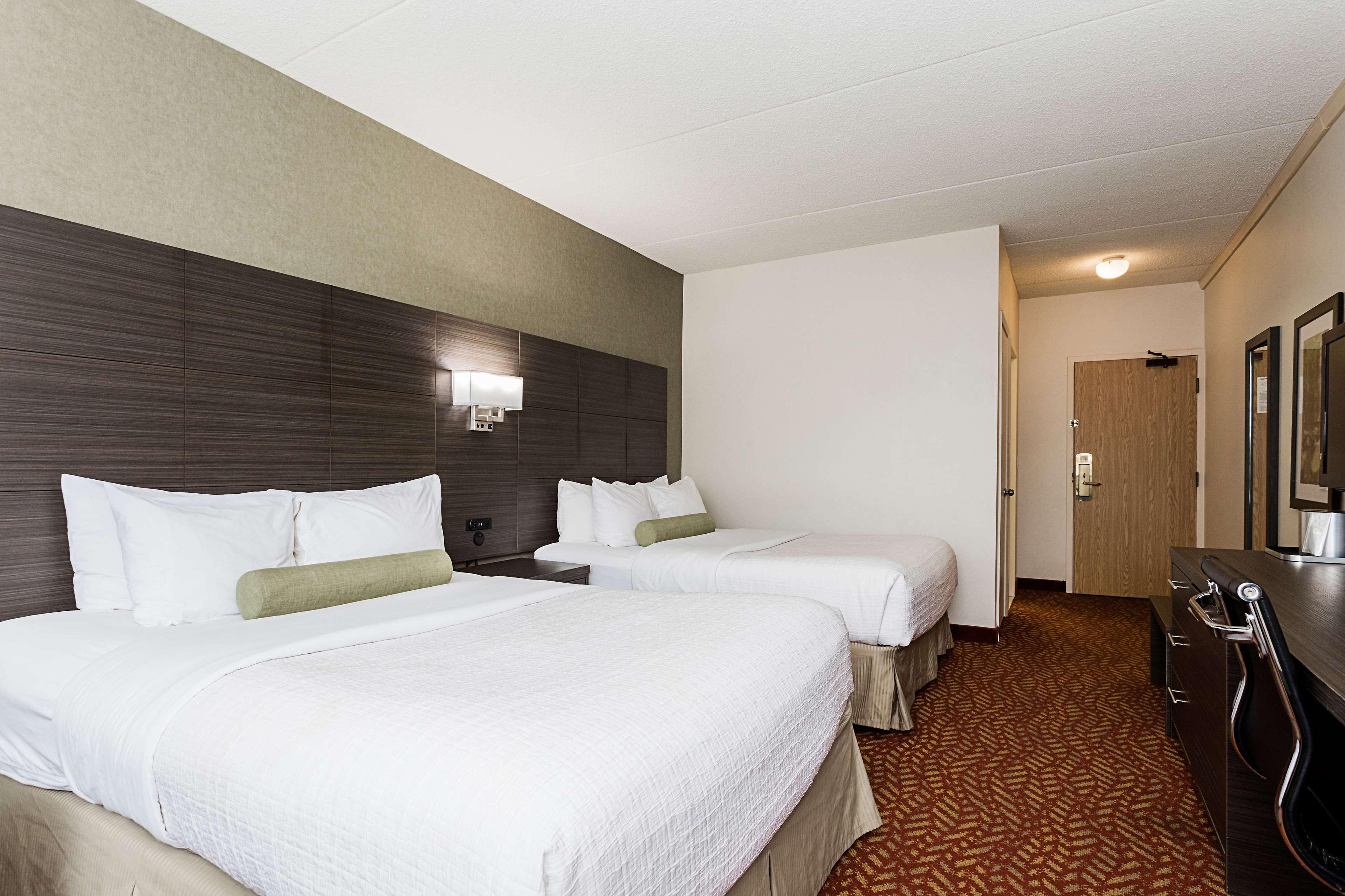 Double Two Queen Beds