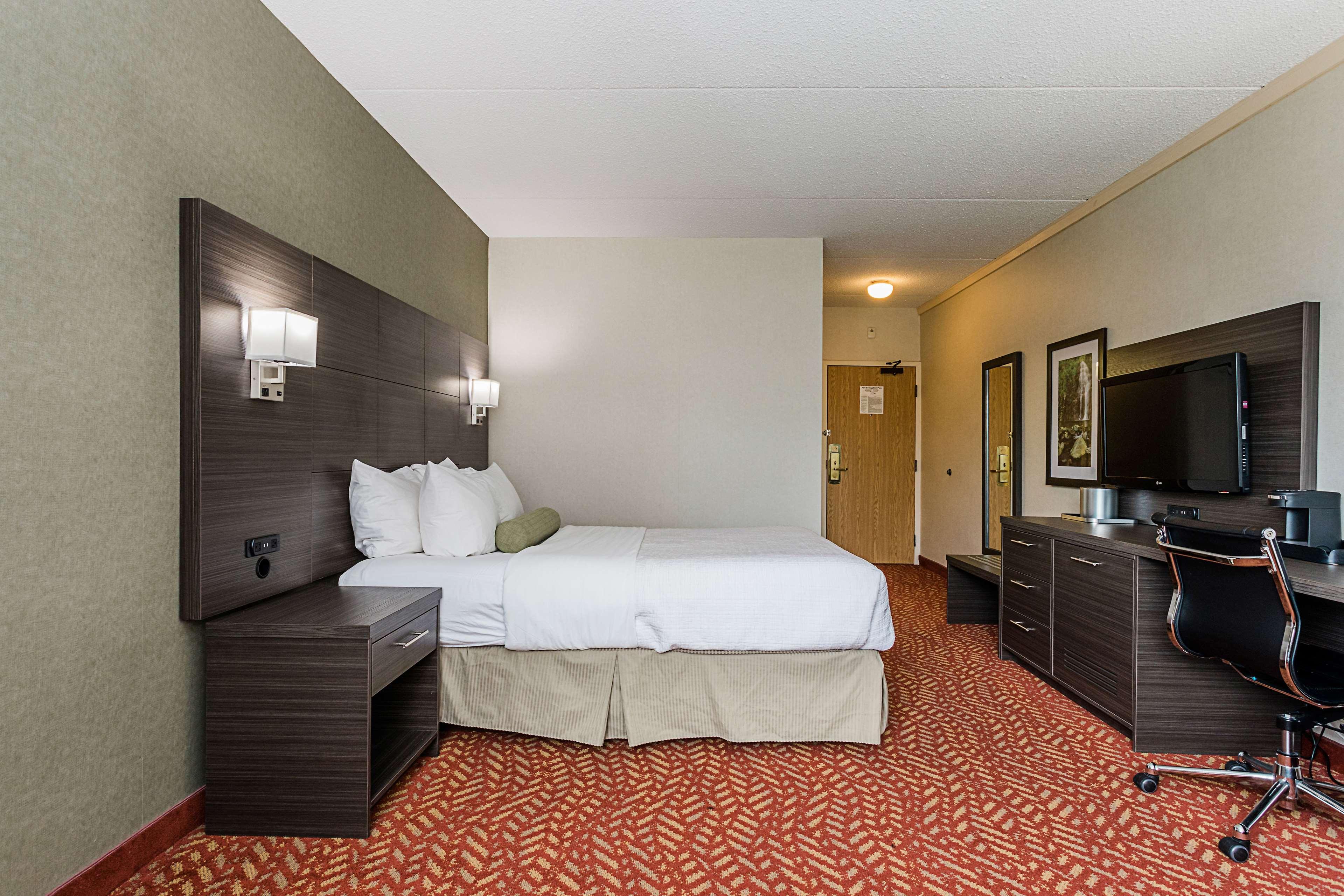 Double Queen Size Bed