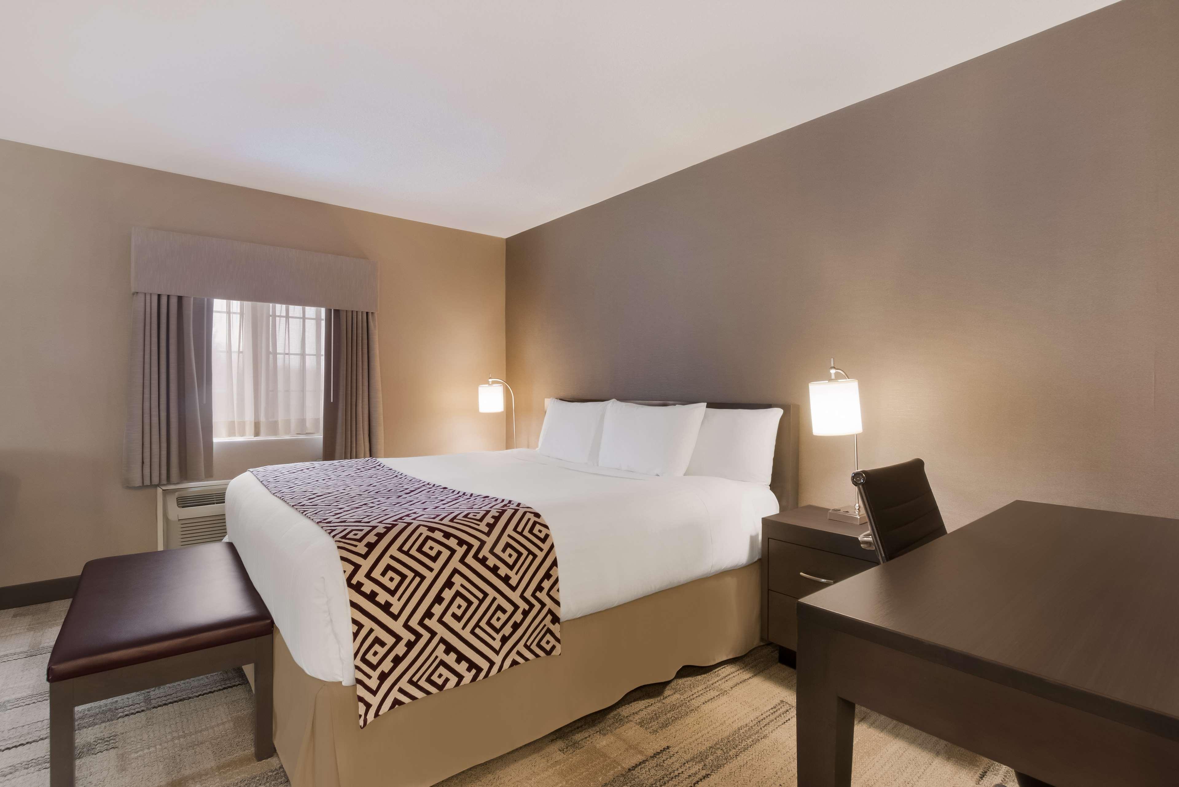 Suite King Bed Non Smoking