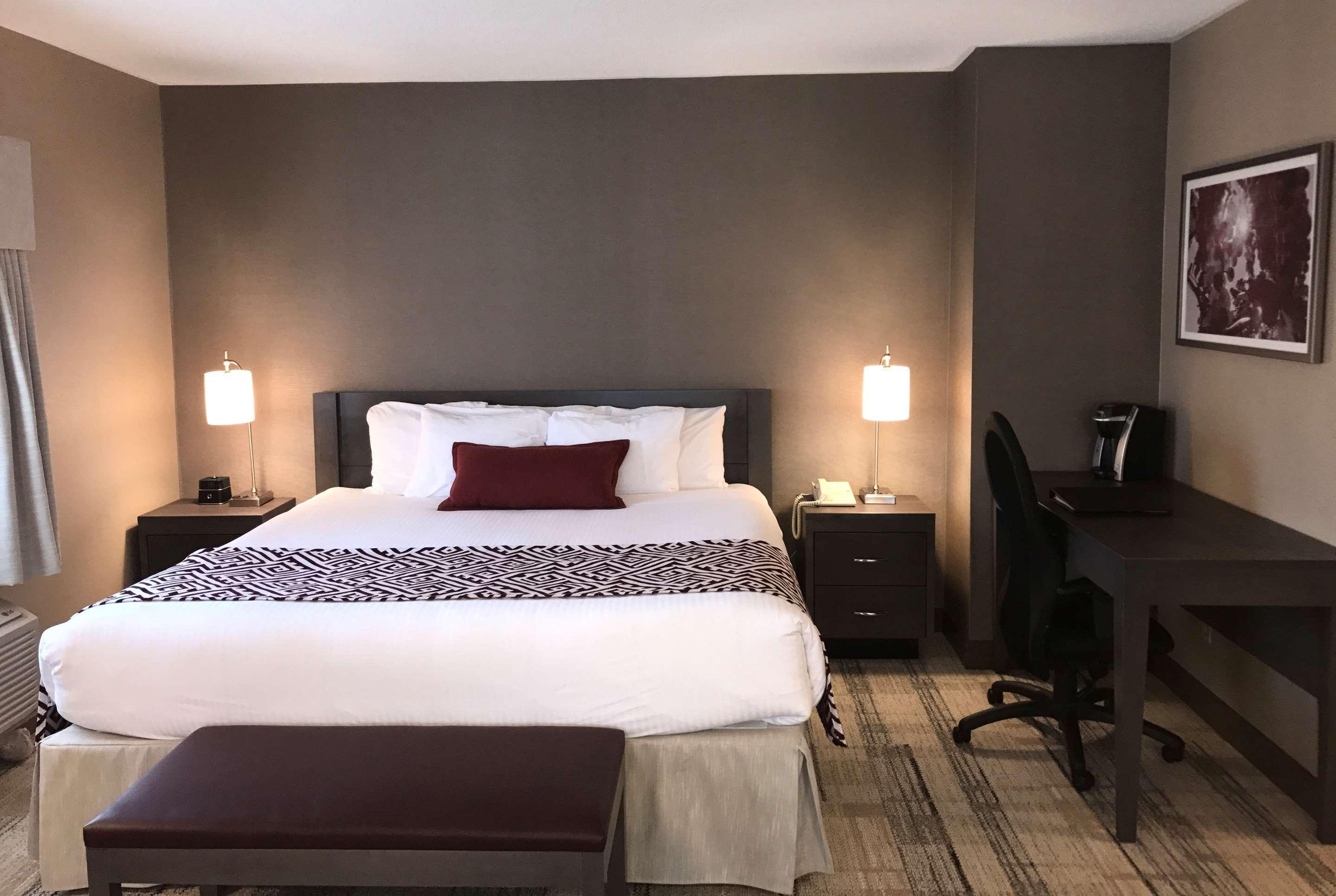 Suite King Bed Non Smoking