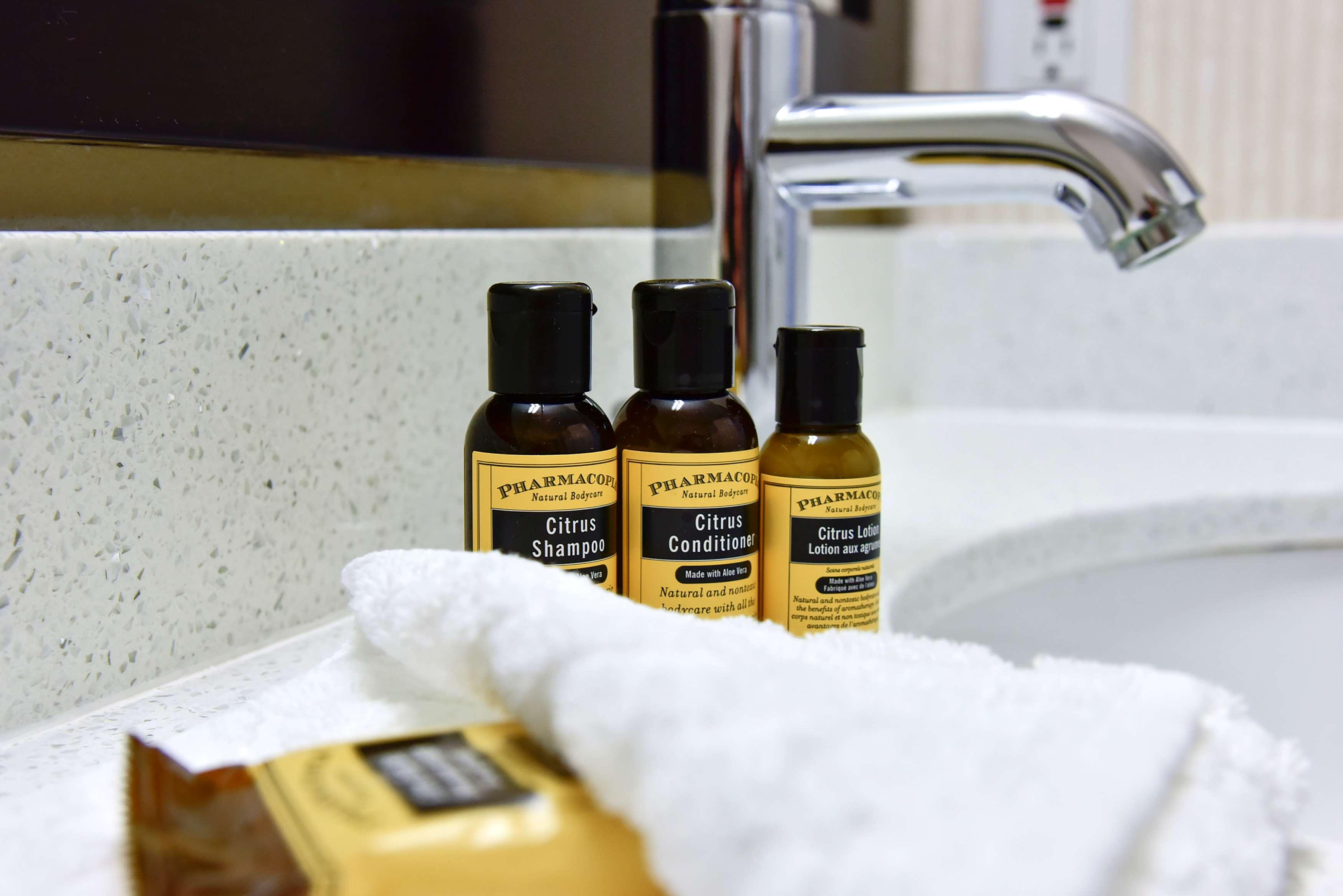 Suite Two Queen Beds