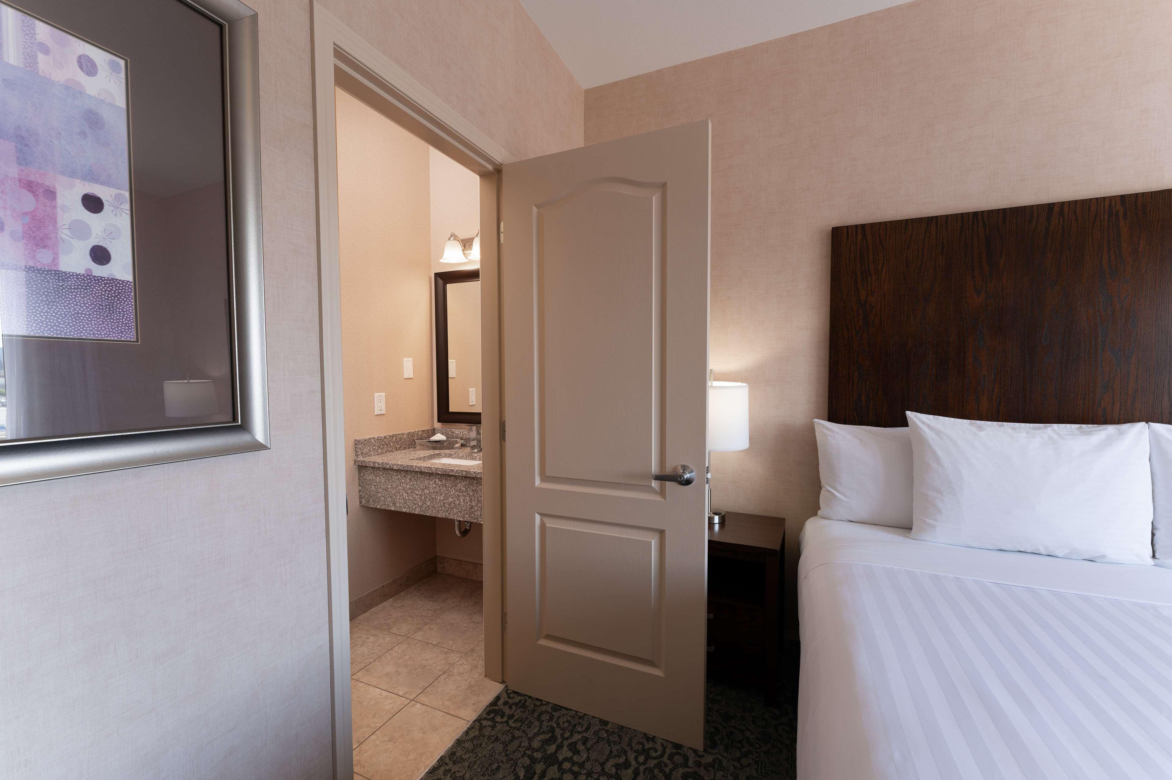 Suite King Bed Non Smoking