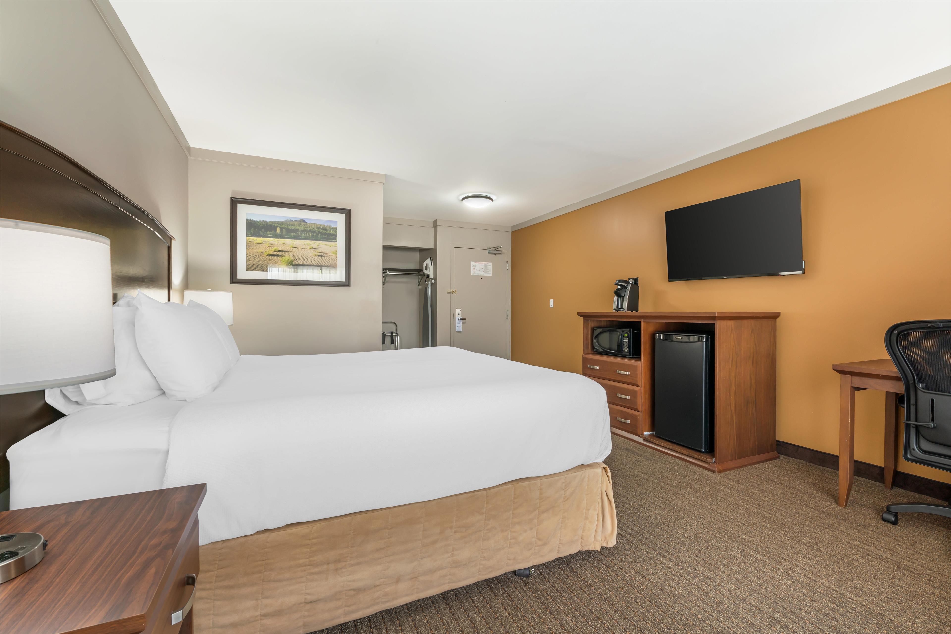 Room Accessible-queen Size Bed