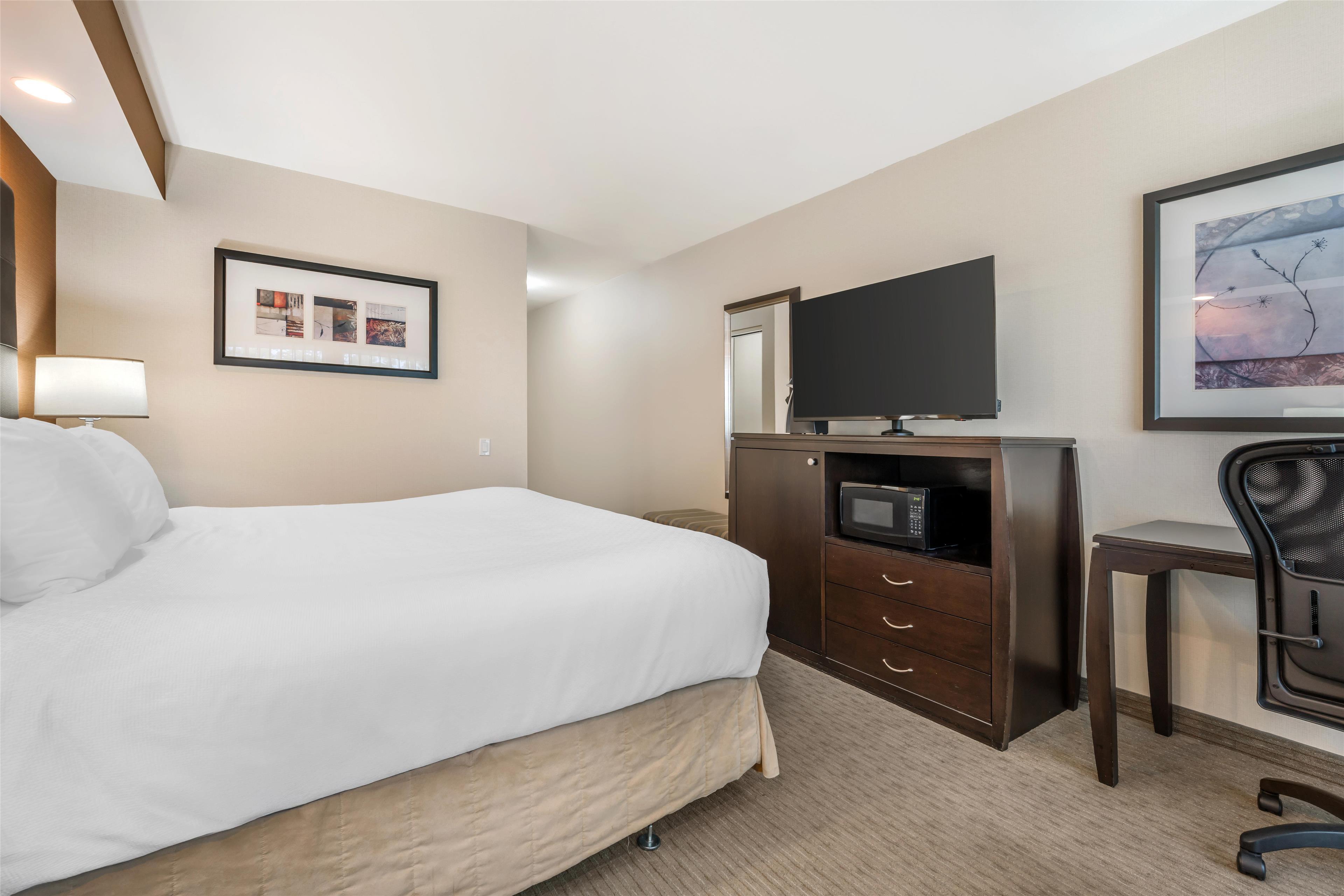 Room Accessible King Size Bed