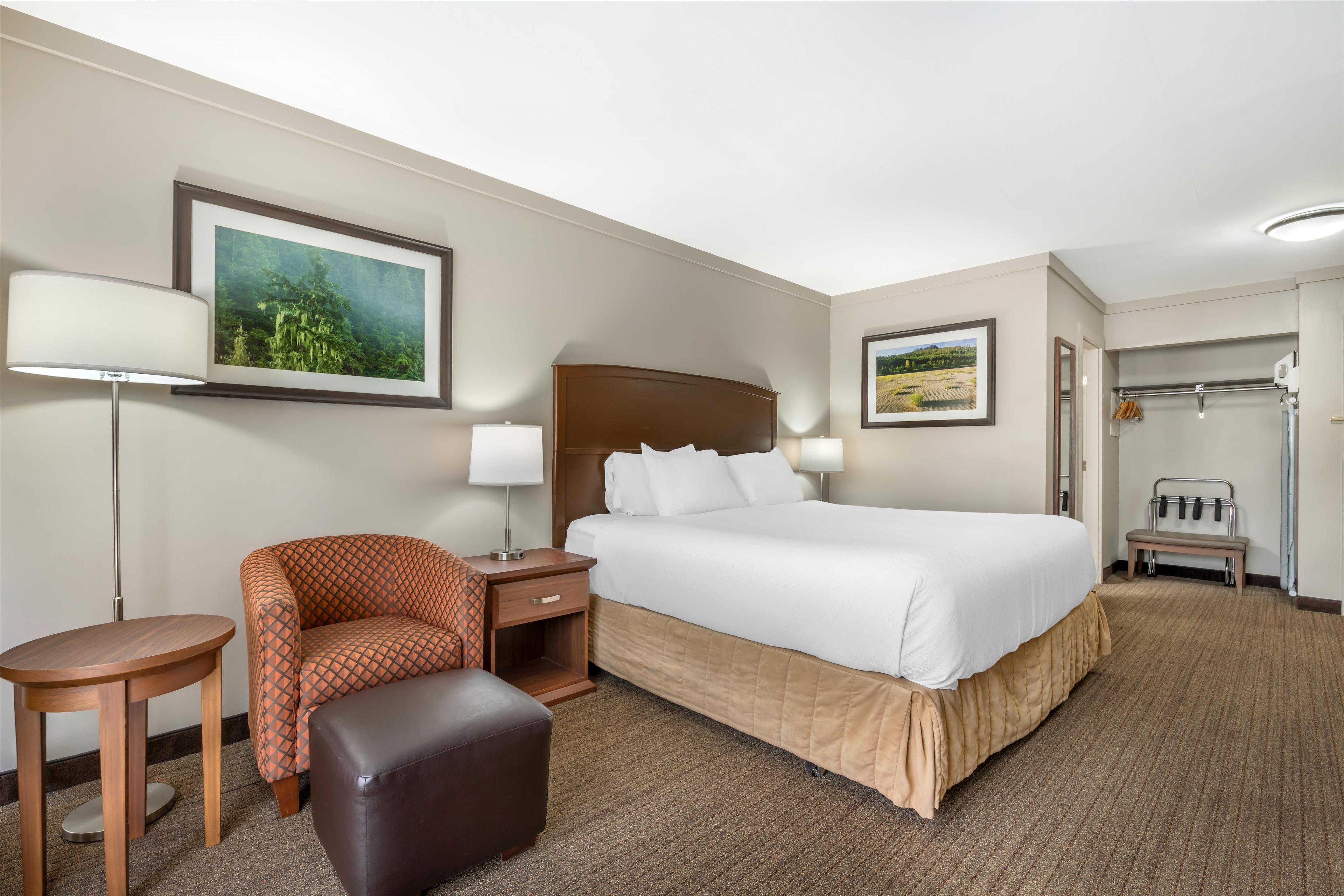 Room Accessible-queen Size Bed