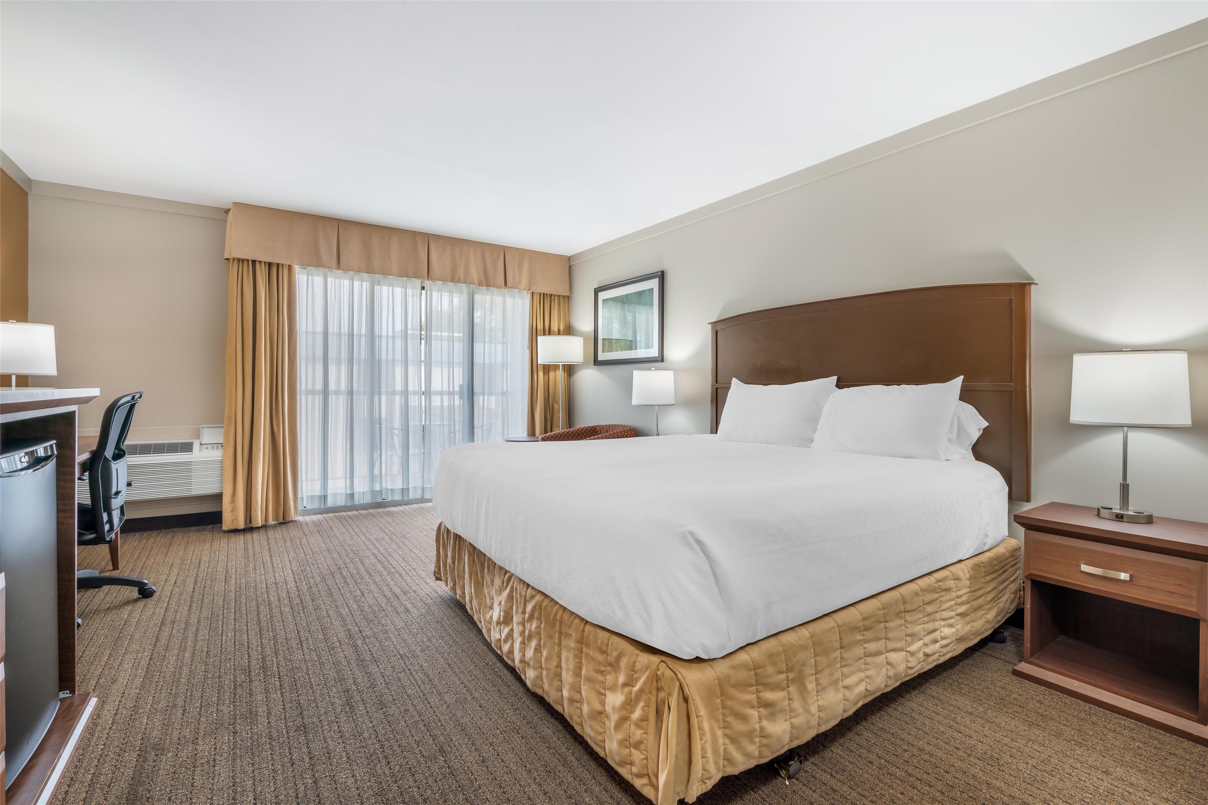 Room Accessible-queen Size Bed