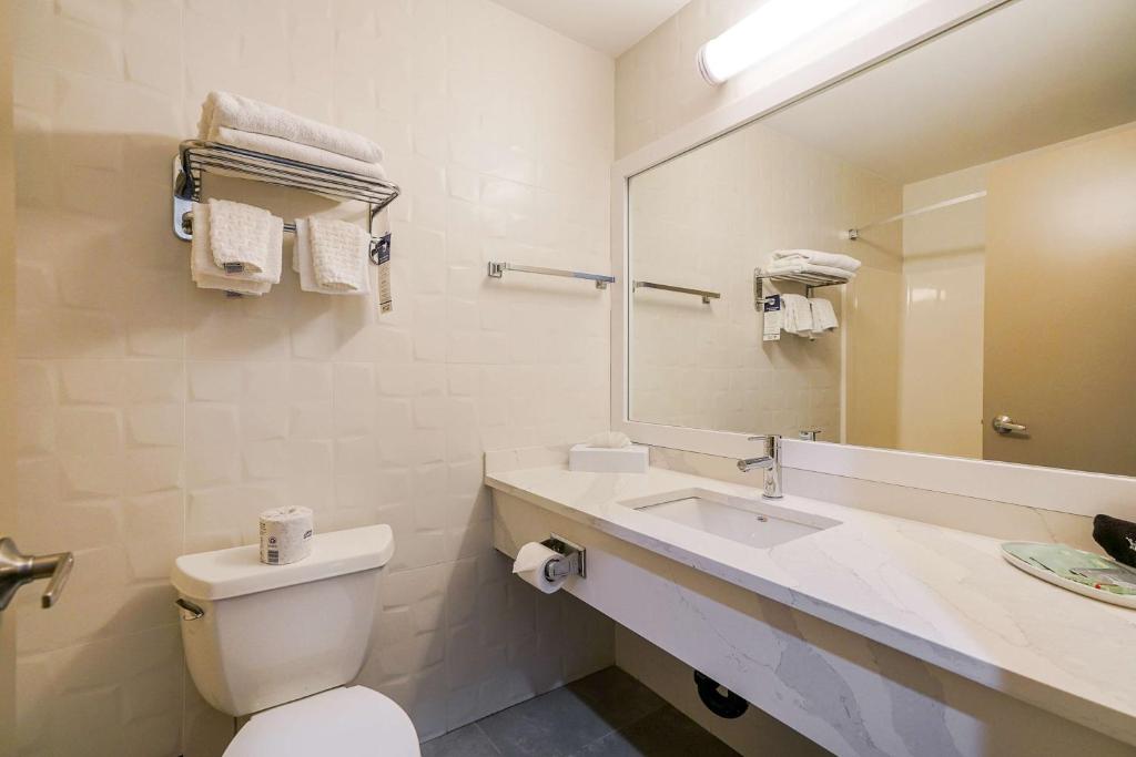 Double Queen Size Bed