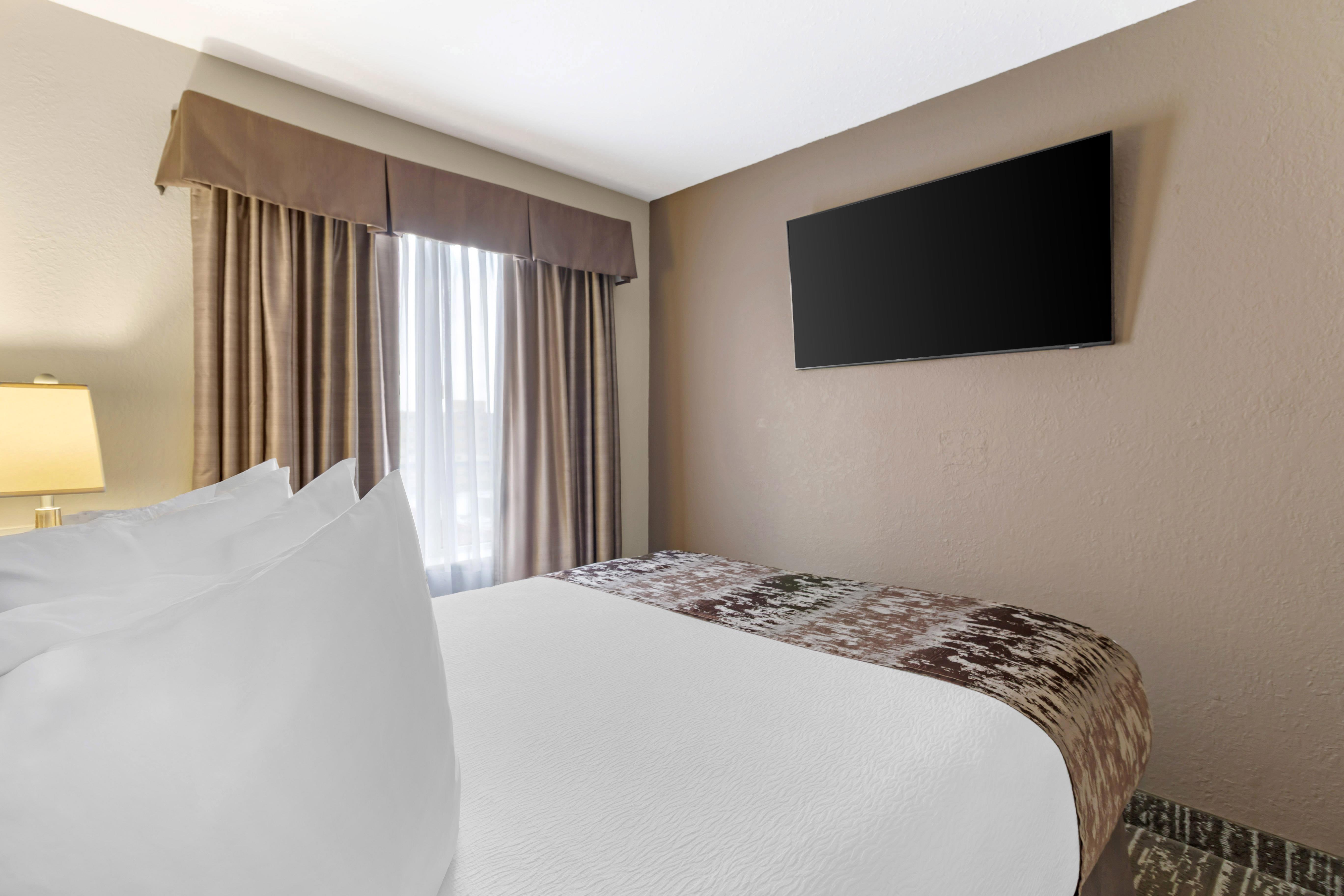 Suite Queen Size Bed