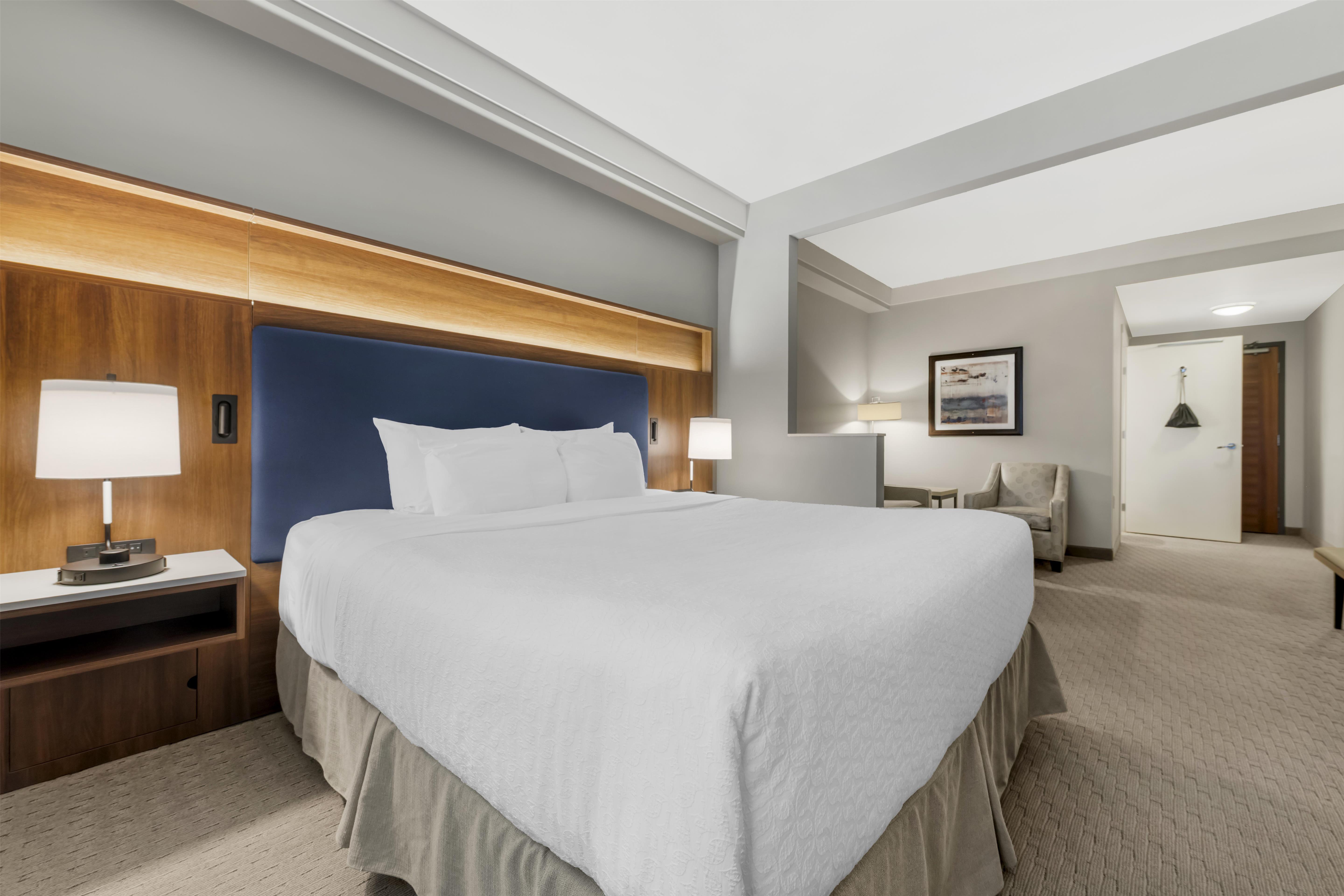 Suite Accessible King Size Bed