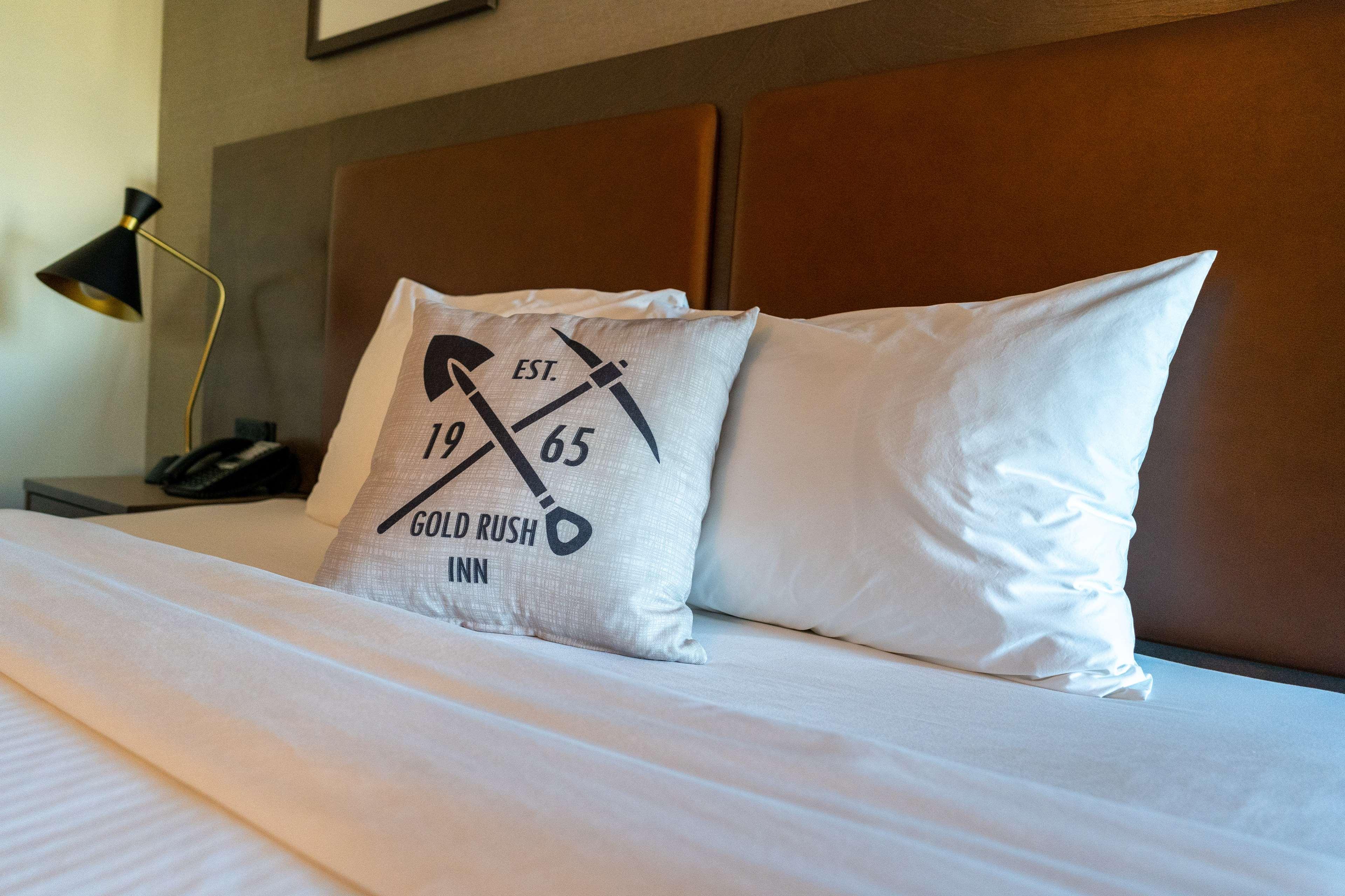 Room King Bed Non Smoking