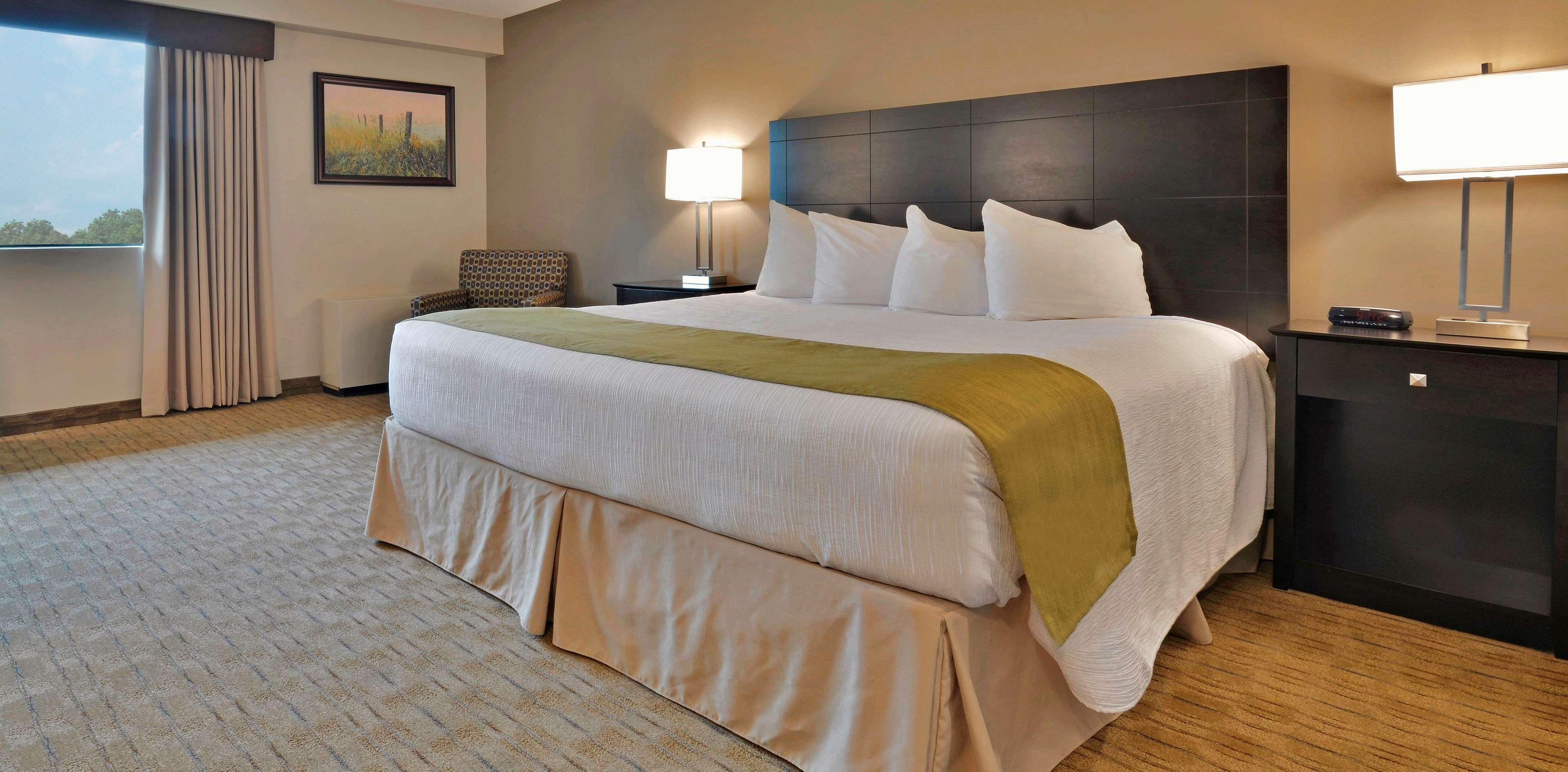 Double King Bed Non Smoking